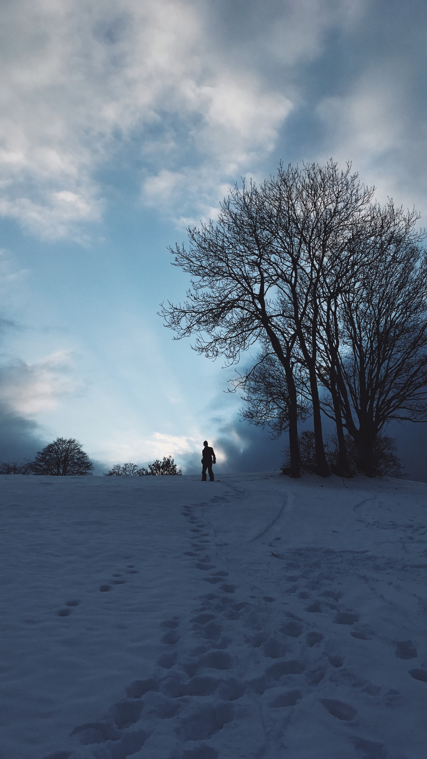 Neige, Hiver, Congélation, Paysage Naturel, Atmosphère. Wallpaper in 1440x2560 Resolution