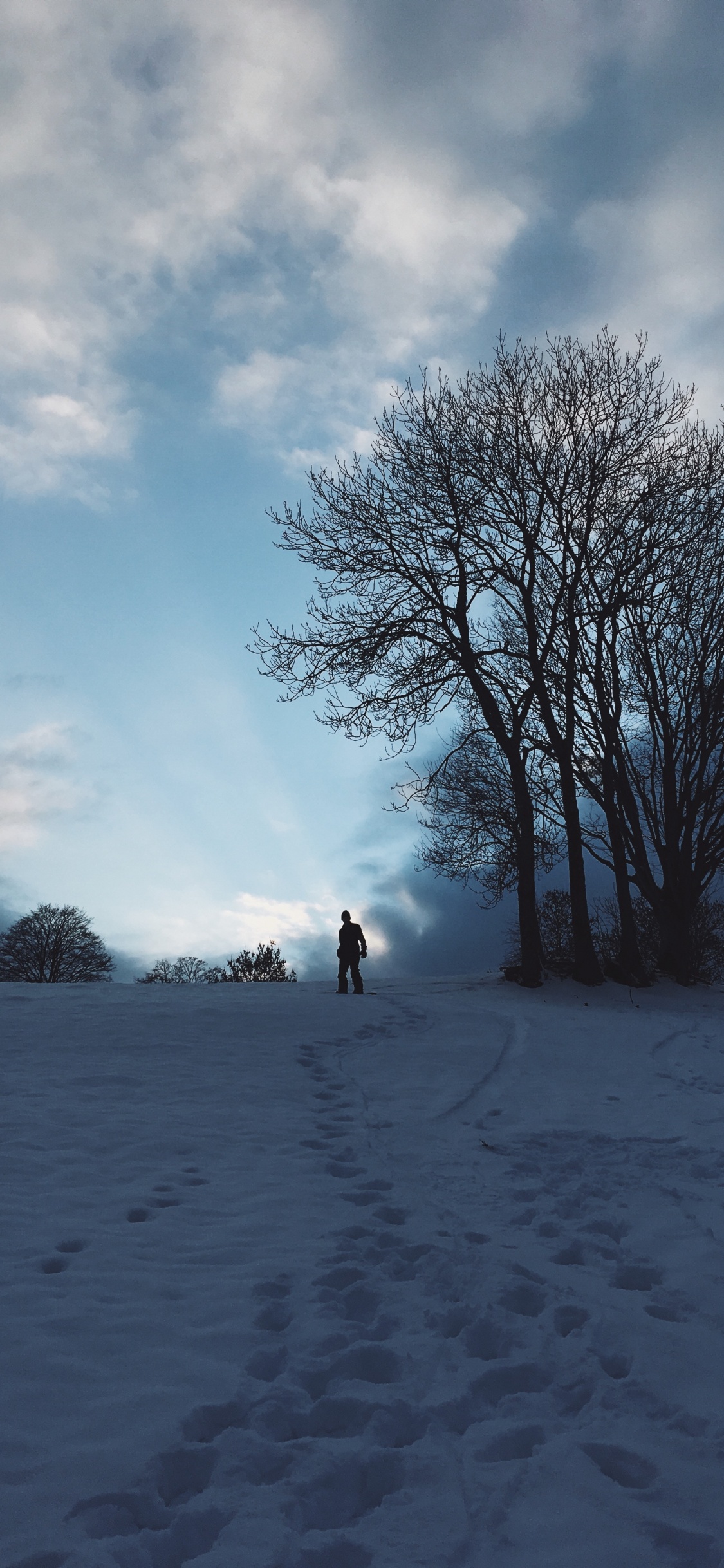 Snow, Winter, Cloud, Tree, Freezing. Wallpaper in 1125x2436 Resolution