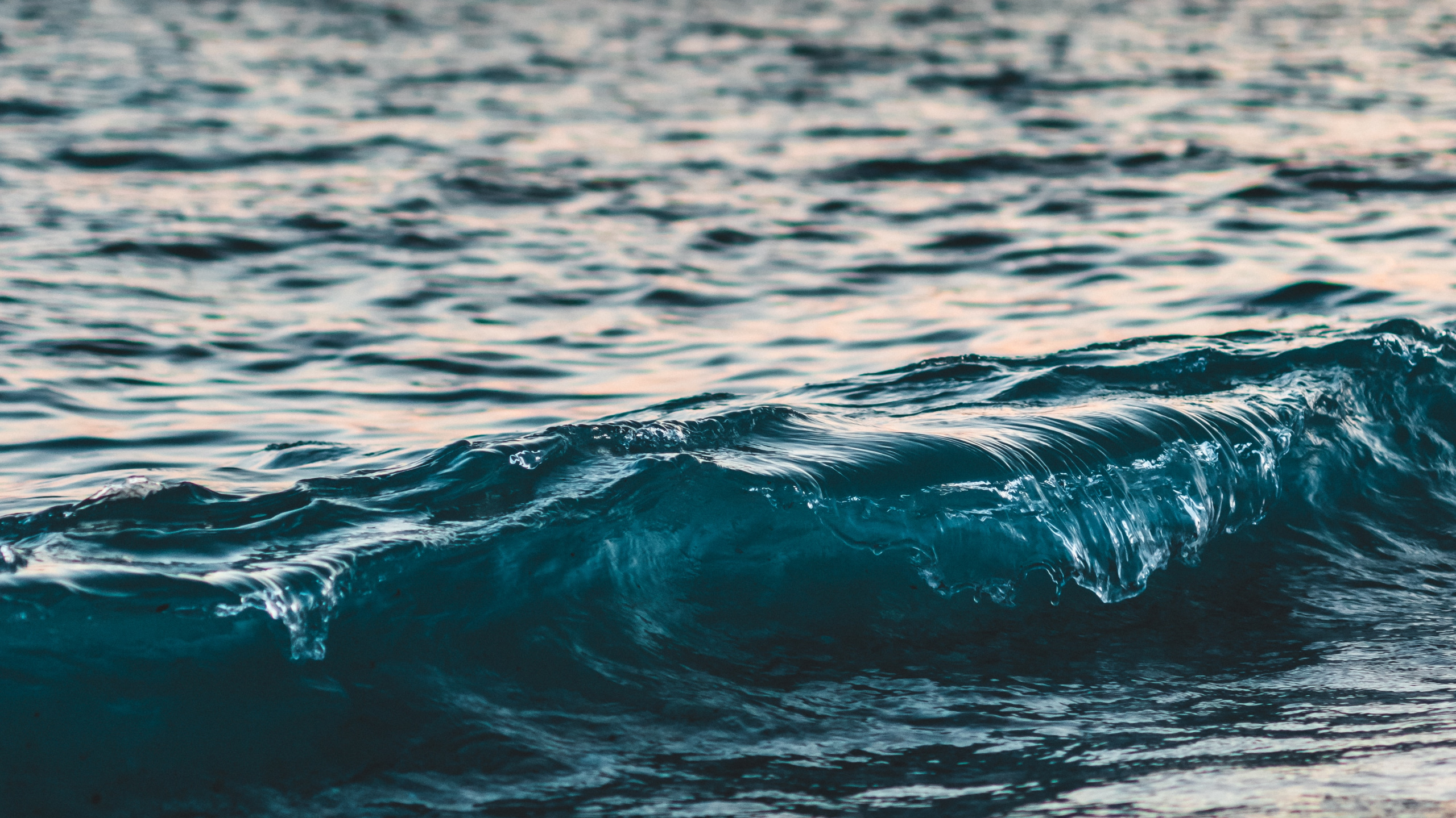 Apple, Wave, Body of Water, Sea, Wind Wave. Wallpaper in 2560x1440 Resolution