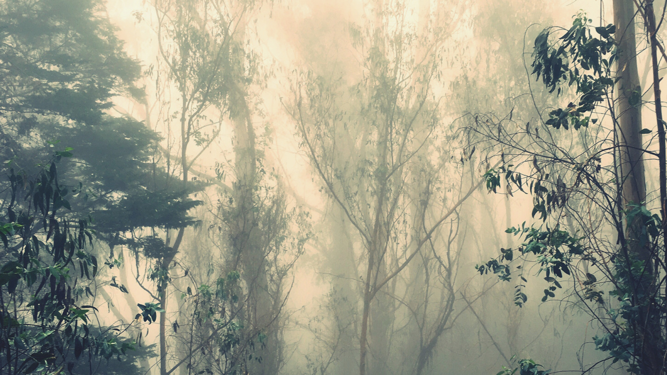 Nokia, Smartphone, 6 7 In, Nokia C01 Plus 4g, Nokia C30 Ta-1359ds 3 64gb White. Wallpaper in 1366x768 Resolution