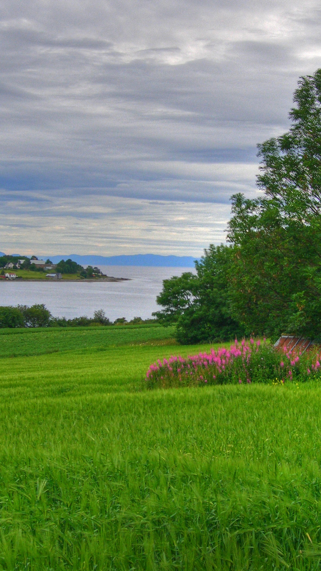 Green Grass Field With Trees Under White Clouds and Blue Sky During Daytime. Wallpaper in 1080x1920 Resolution