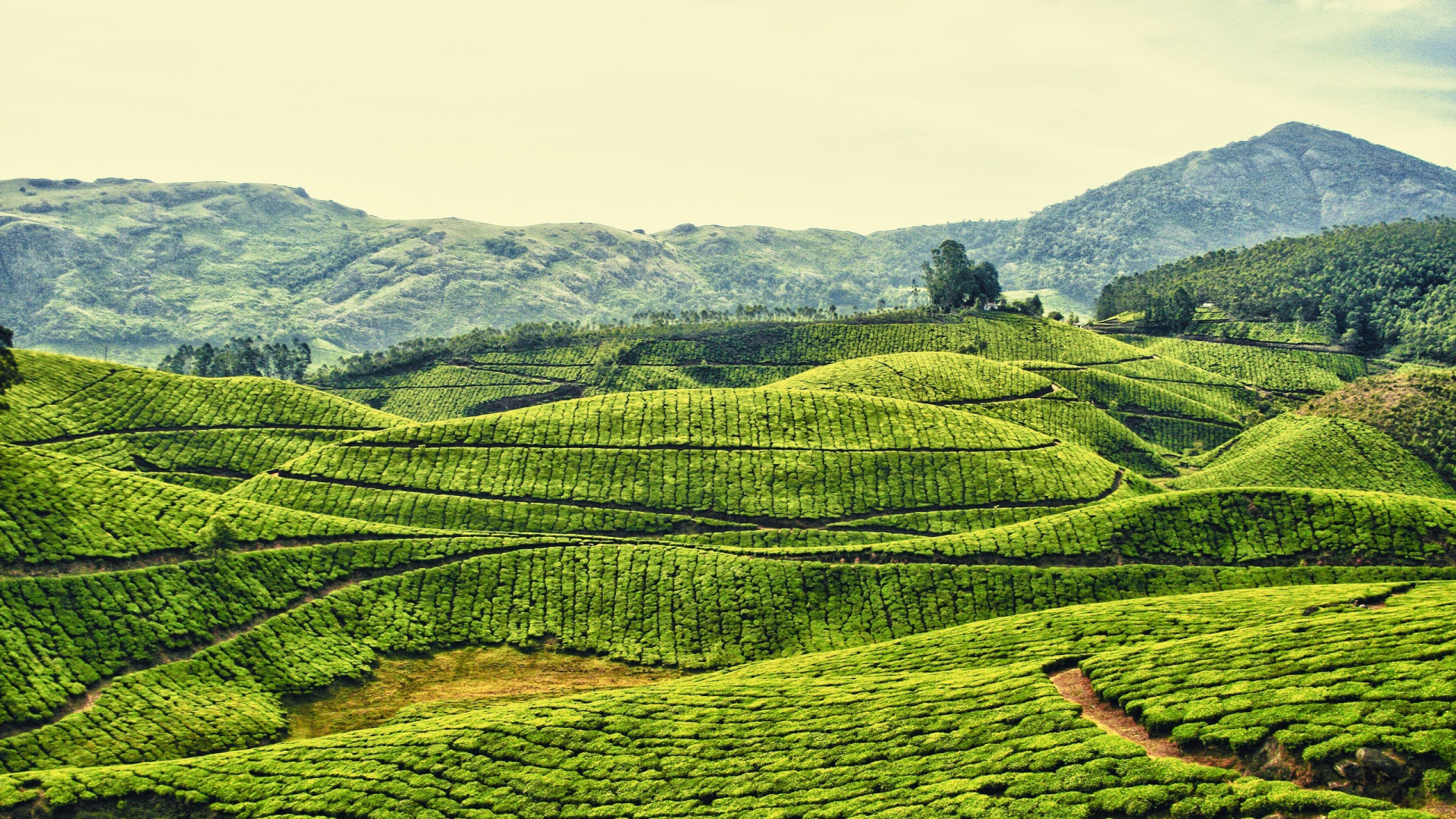 Green Grass Field Near Mountain During Daytime. Wallpaper in 1920x1080 Resolution