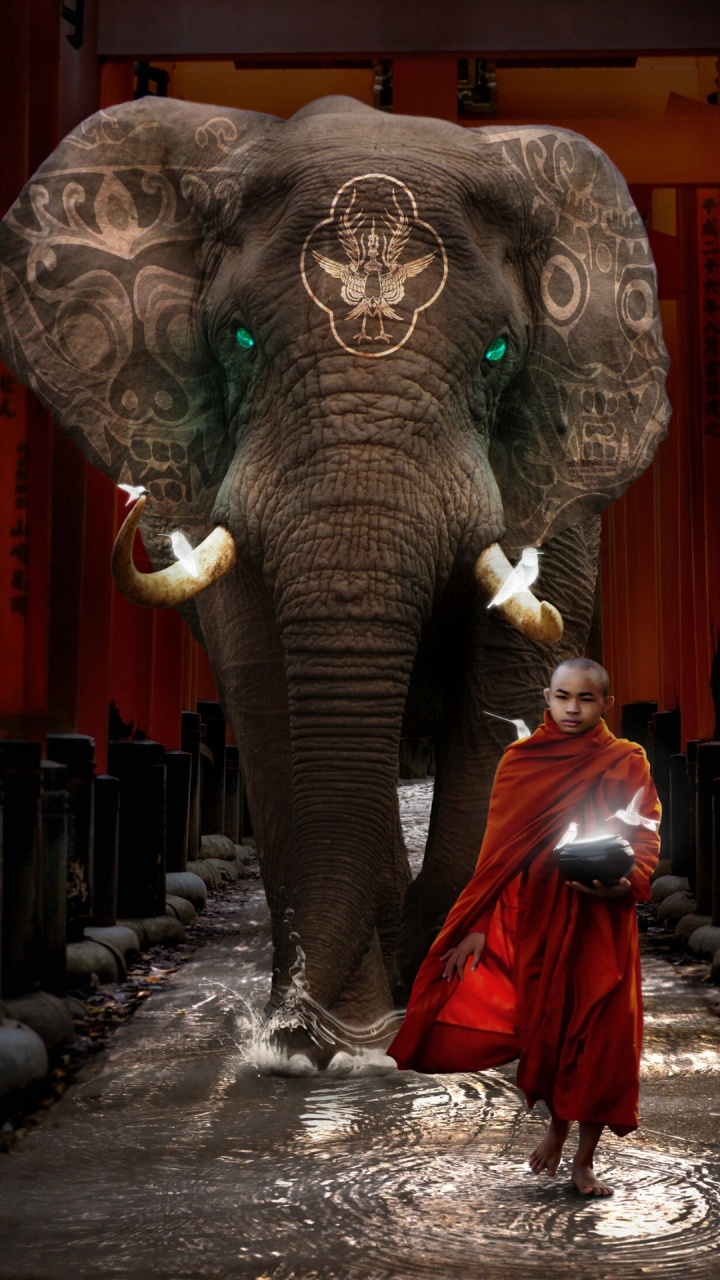 Elefanten Und Mammuts, Tempel, Indische Elefanten, Terrestrische Tier, Veranstaltung. Wallpaper in 720x1280 Resolution