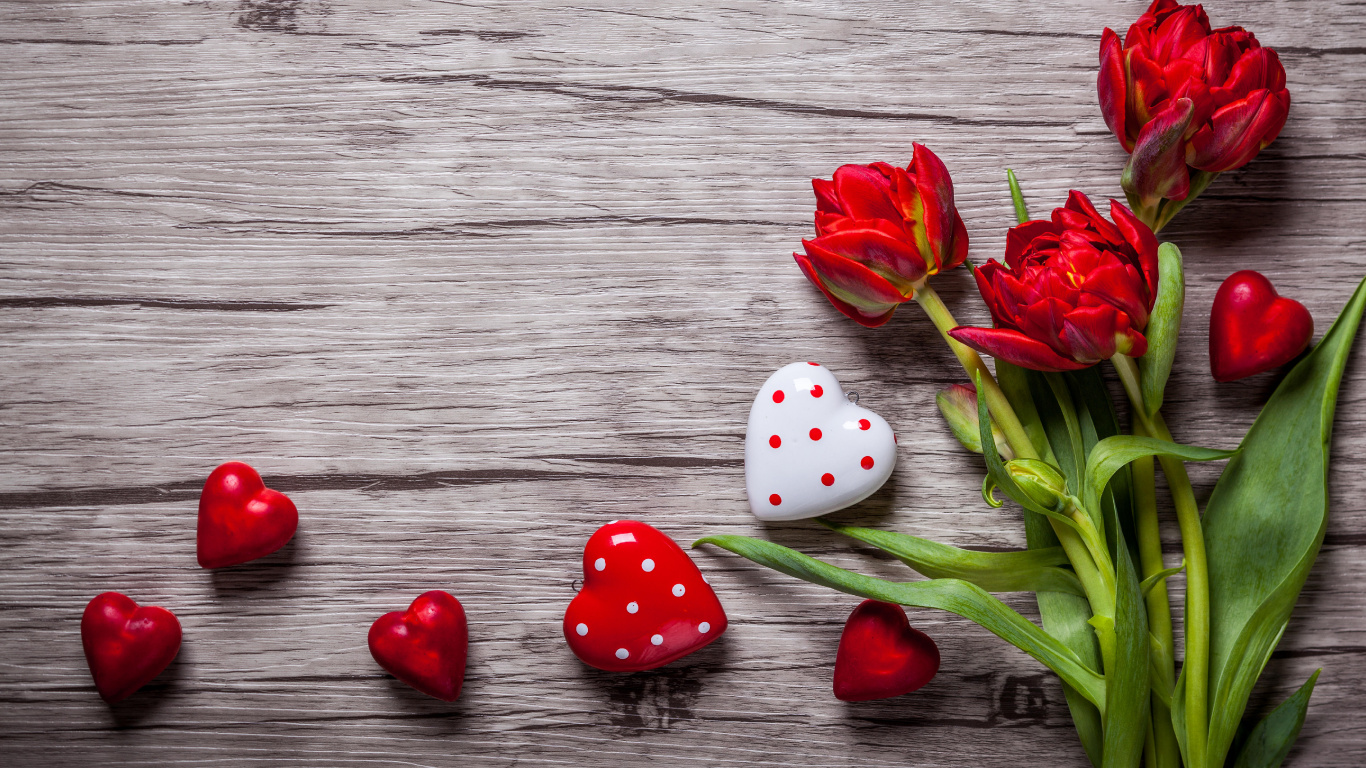 Red Tulips on Gray Wooden Surface. Wallpaper in 1366x768 Resolution