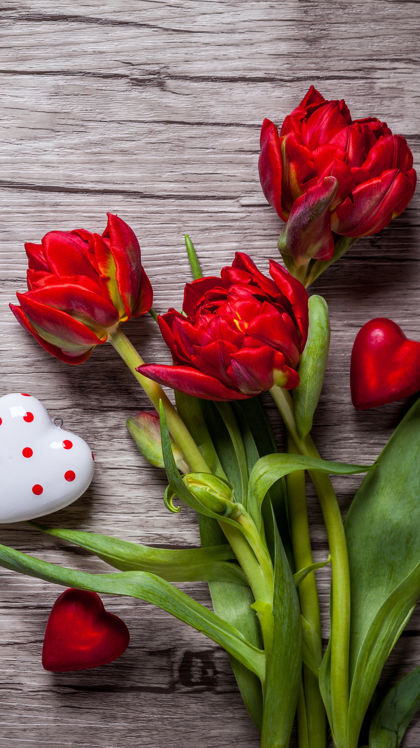 Red Tulips on Gray Wooden Surface. Wallpaper in 1440x2560 Resolution