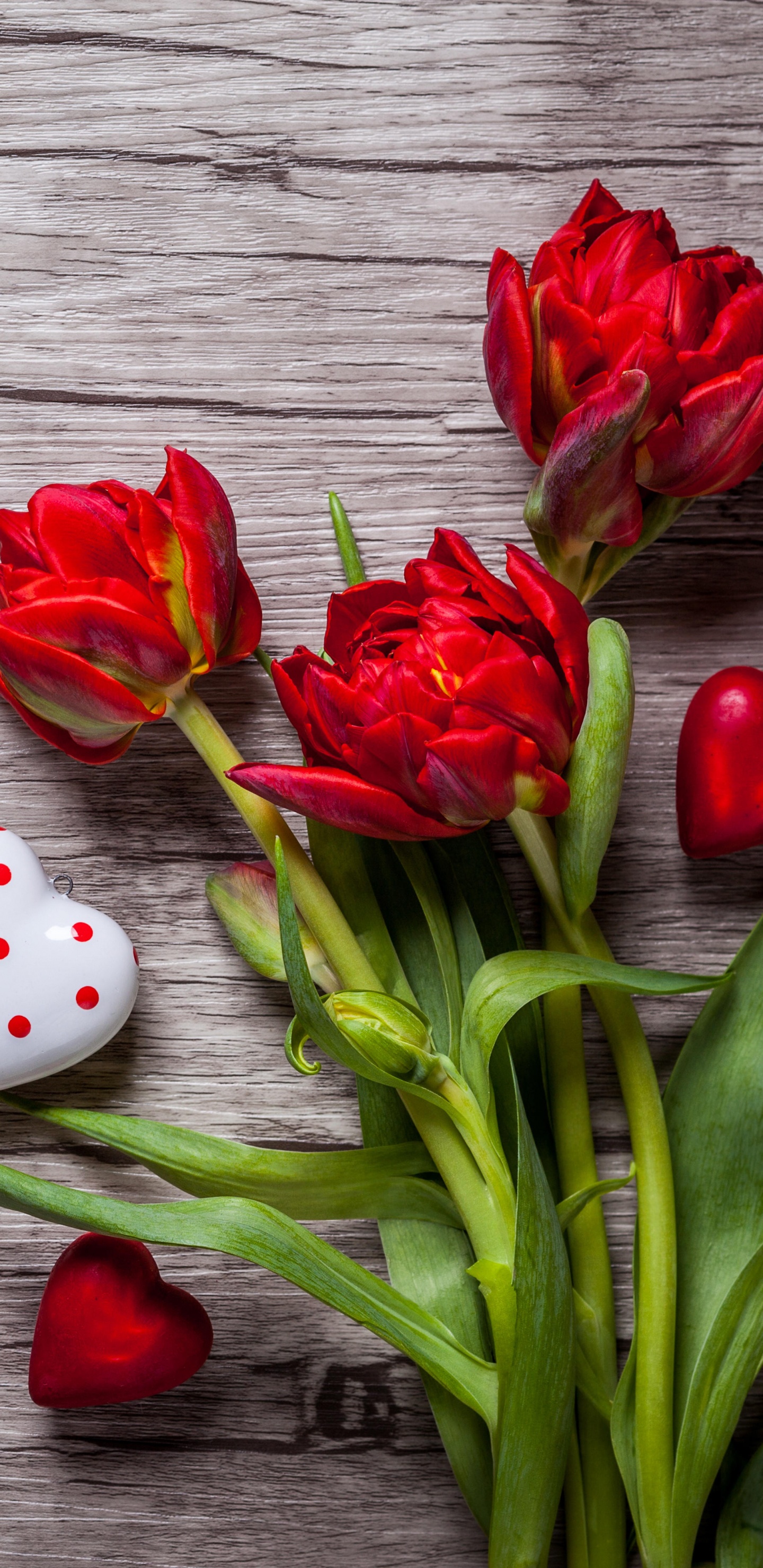 Red Tulips on Gray Wooden Surface. Wallpaper in 1440x2960 Resolution