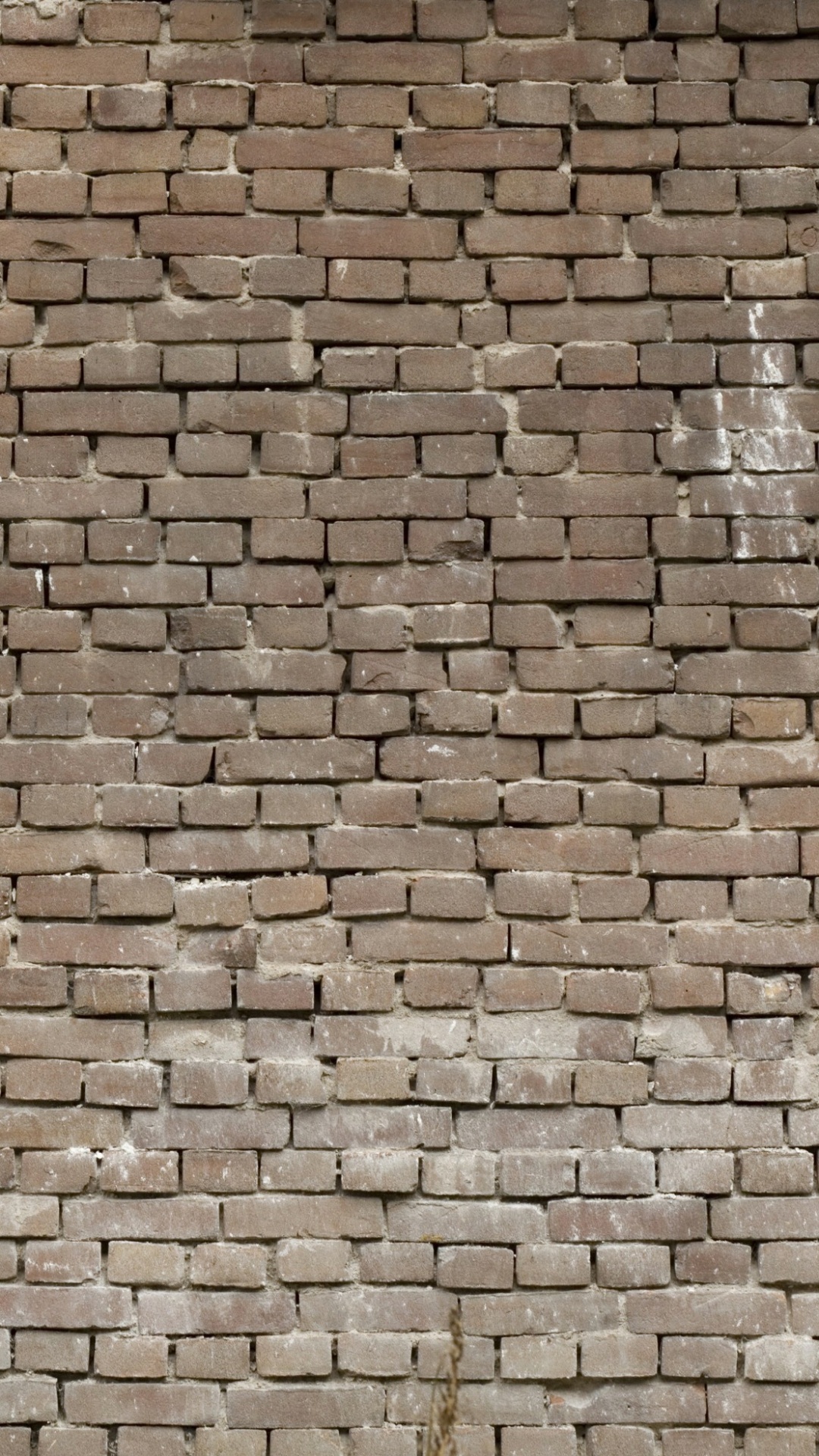 Brown Brick Wall During Daytime. Wallpaper in 1080x1920 Resolution