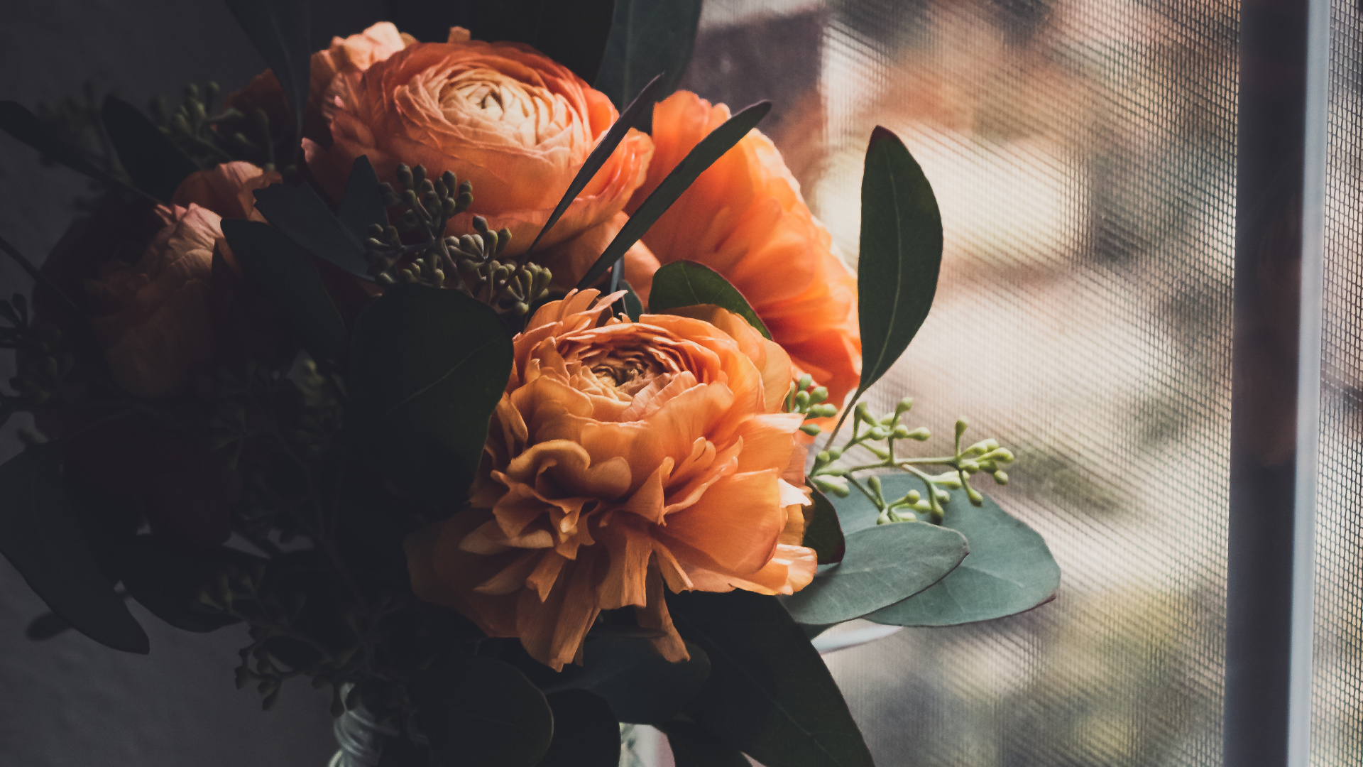 Orange Rosen in Klarer Glasvase. Wallpaper in 1920x1080 Resolution