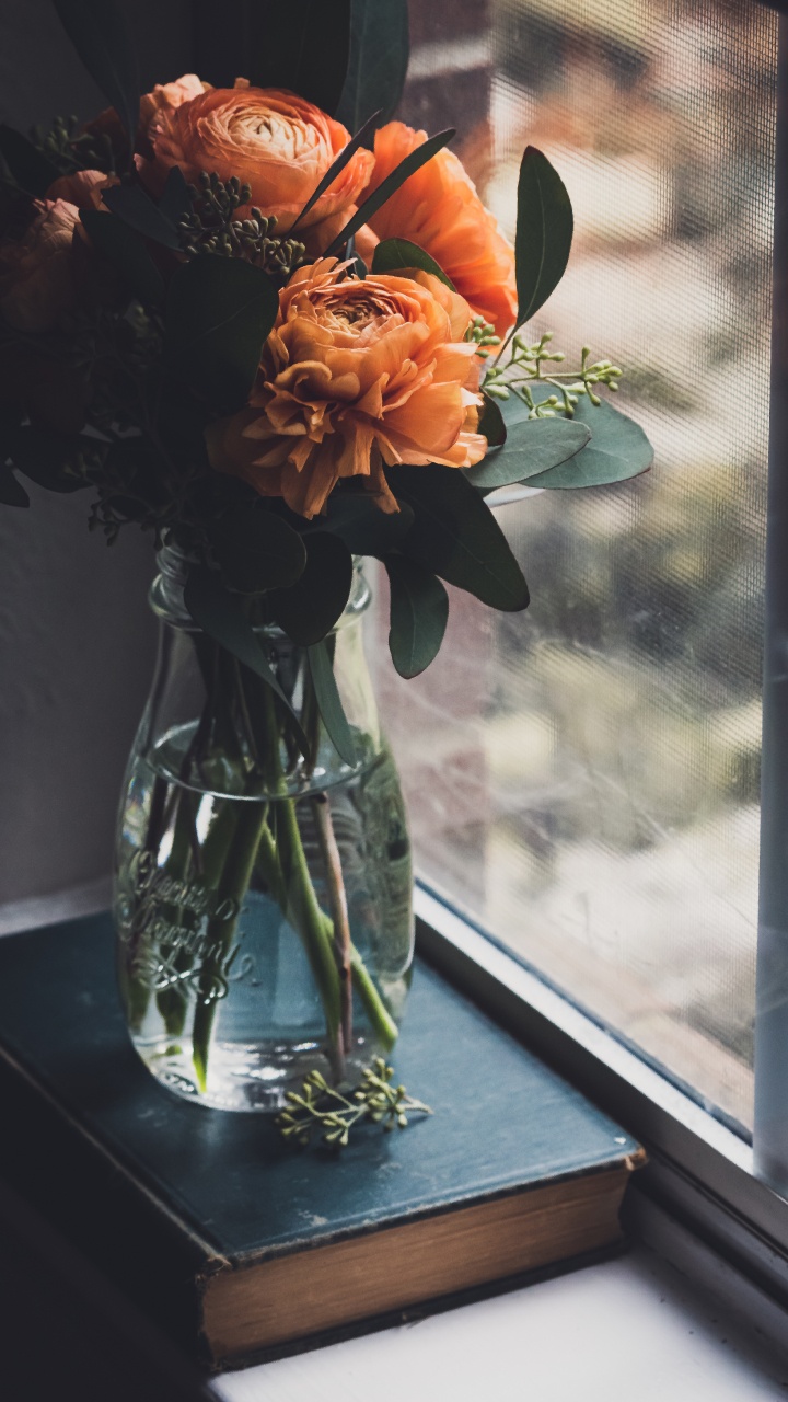 Orange Rosen in Klarer Glasvase. Wallpaper in 720x1280 Resolution