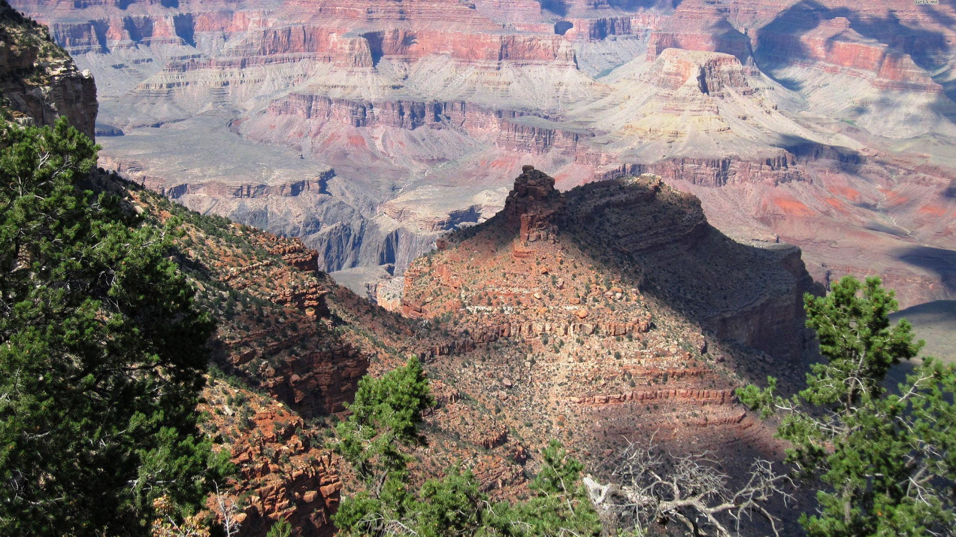 Tagsüber Grüne Bäume Und Braune Berge. Wallpaper in 1920x1080 Resolution