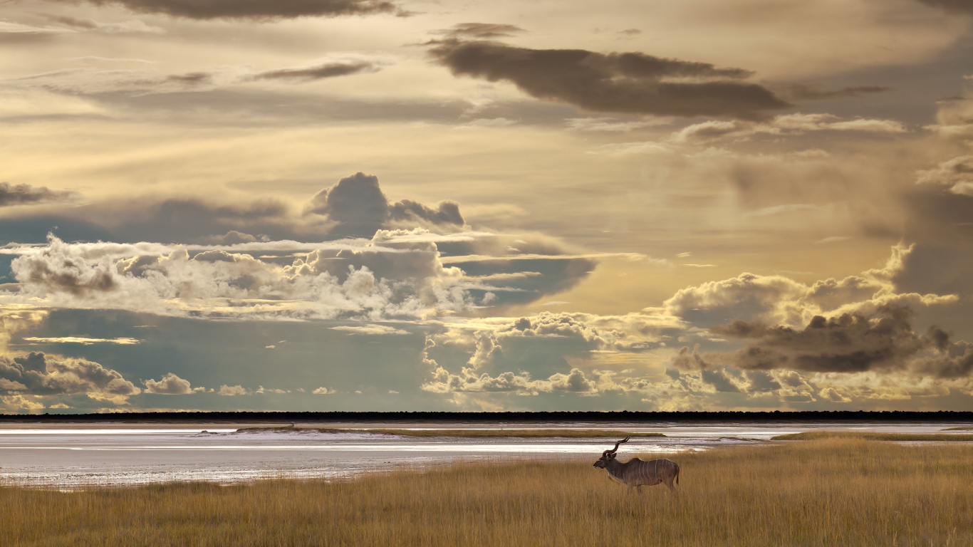 White and Black Clouds Over The Sea. Wallpaper in 1366x768 Resolution