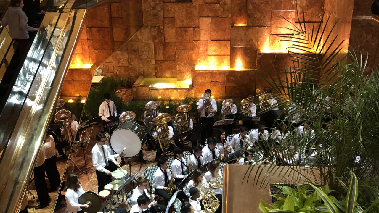 Restaurant, Éclairage, Escalier, Plante D'intérieur. Wallpaper in 1280x720 Resolution