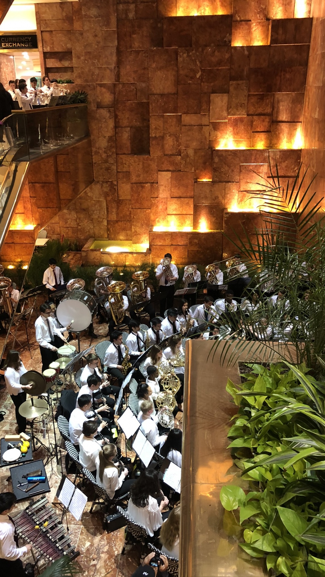 Restaurant, Treppe, Zimmerpflanze. Wallpaper in 1080x1920 Resolution