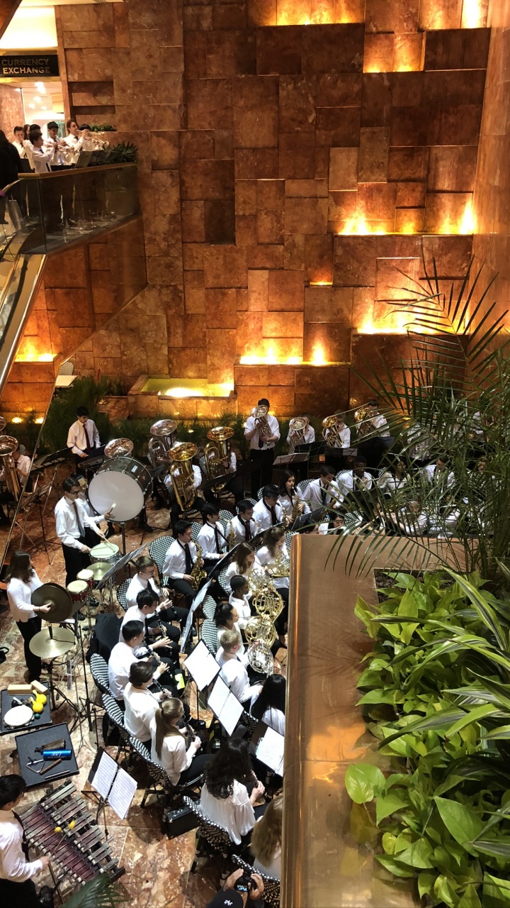 Restaurant, Treppe, Zimmerpflanze. Wallpaper in 720x1280 Resolution