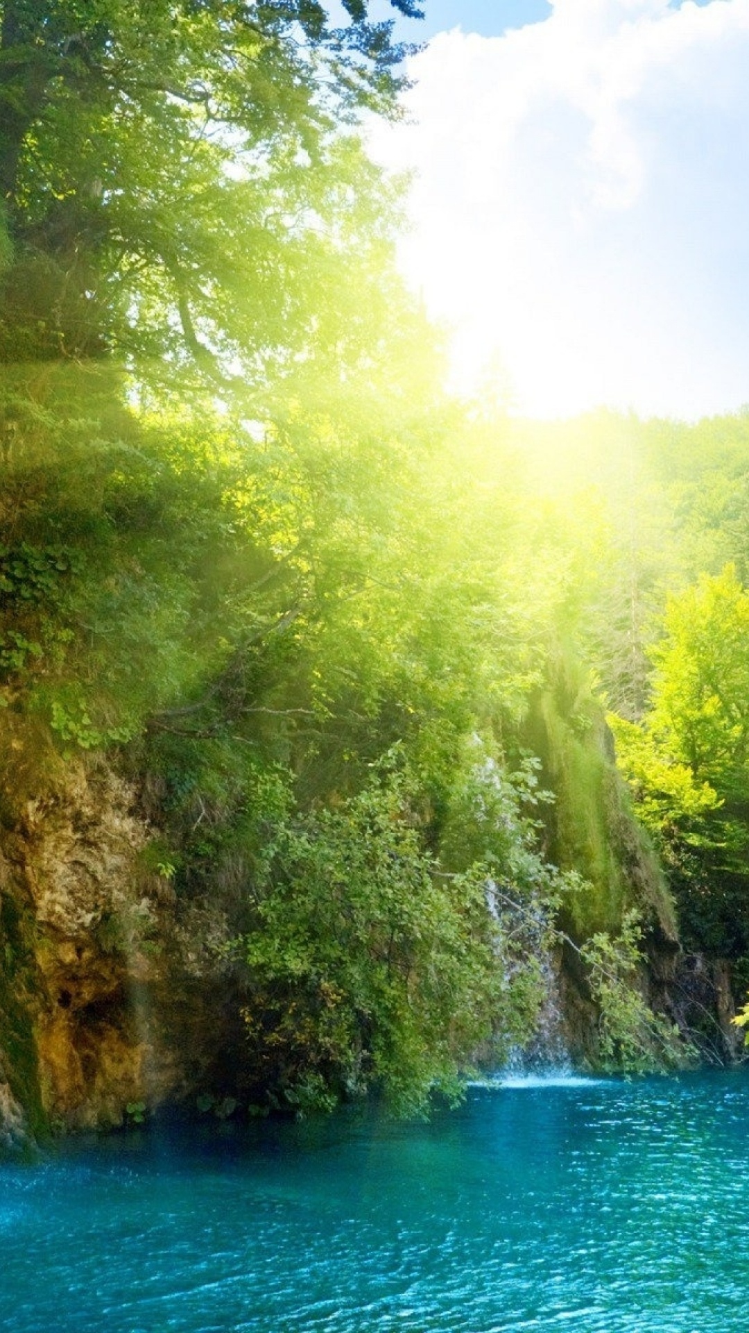 Green Body of Water Between Brown and Green Trees During Daytime. Wallpaper in 1080x1920 Resolution