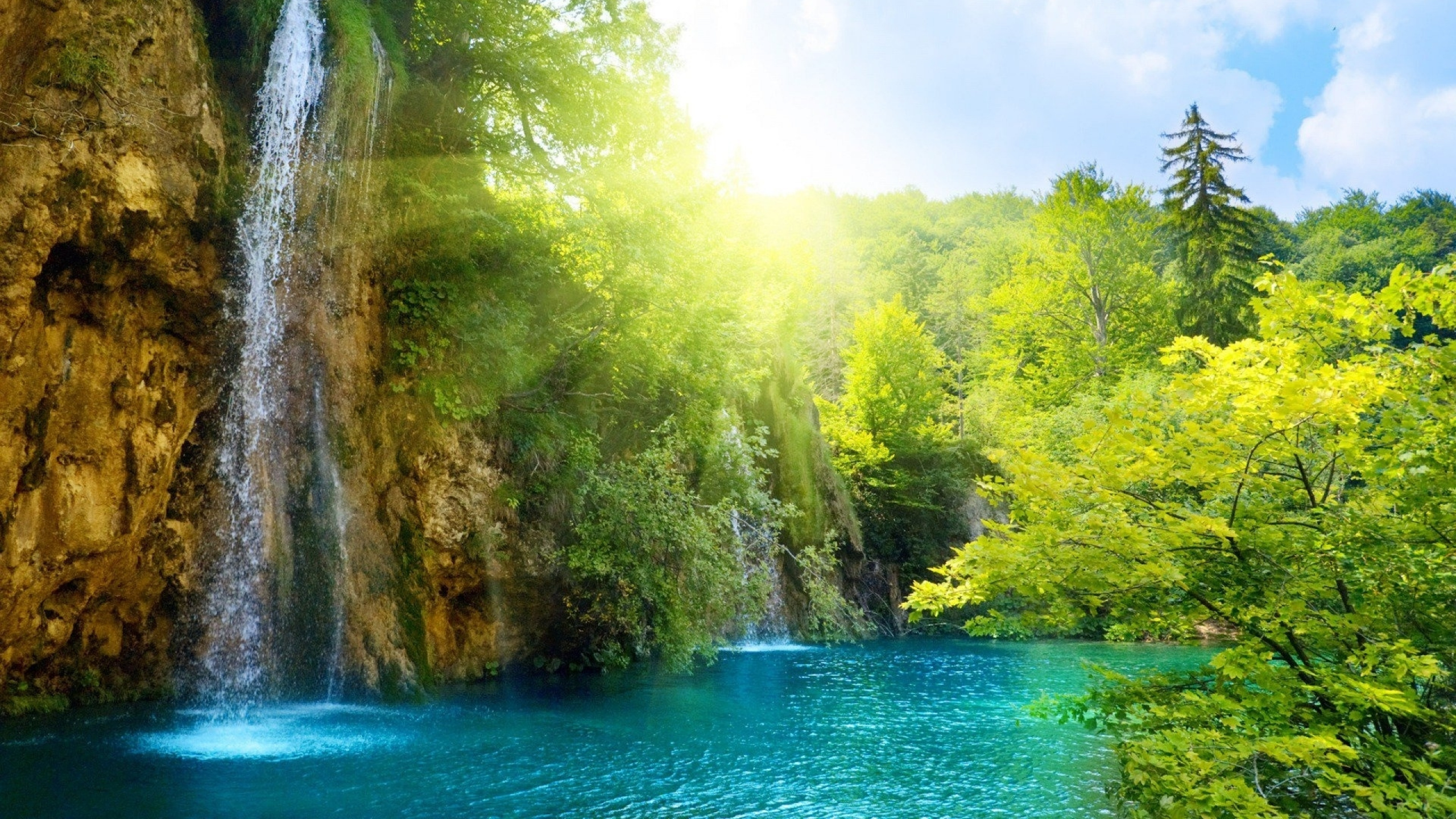 Green Body of Water Between Brown and Green Trees During Daytime. Wallpaper in 2560x1440 Resolution