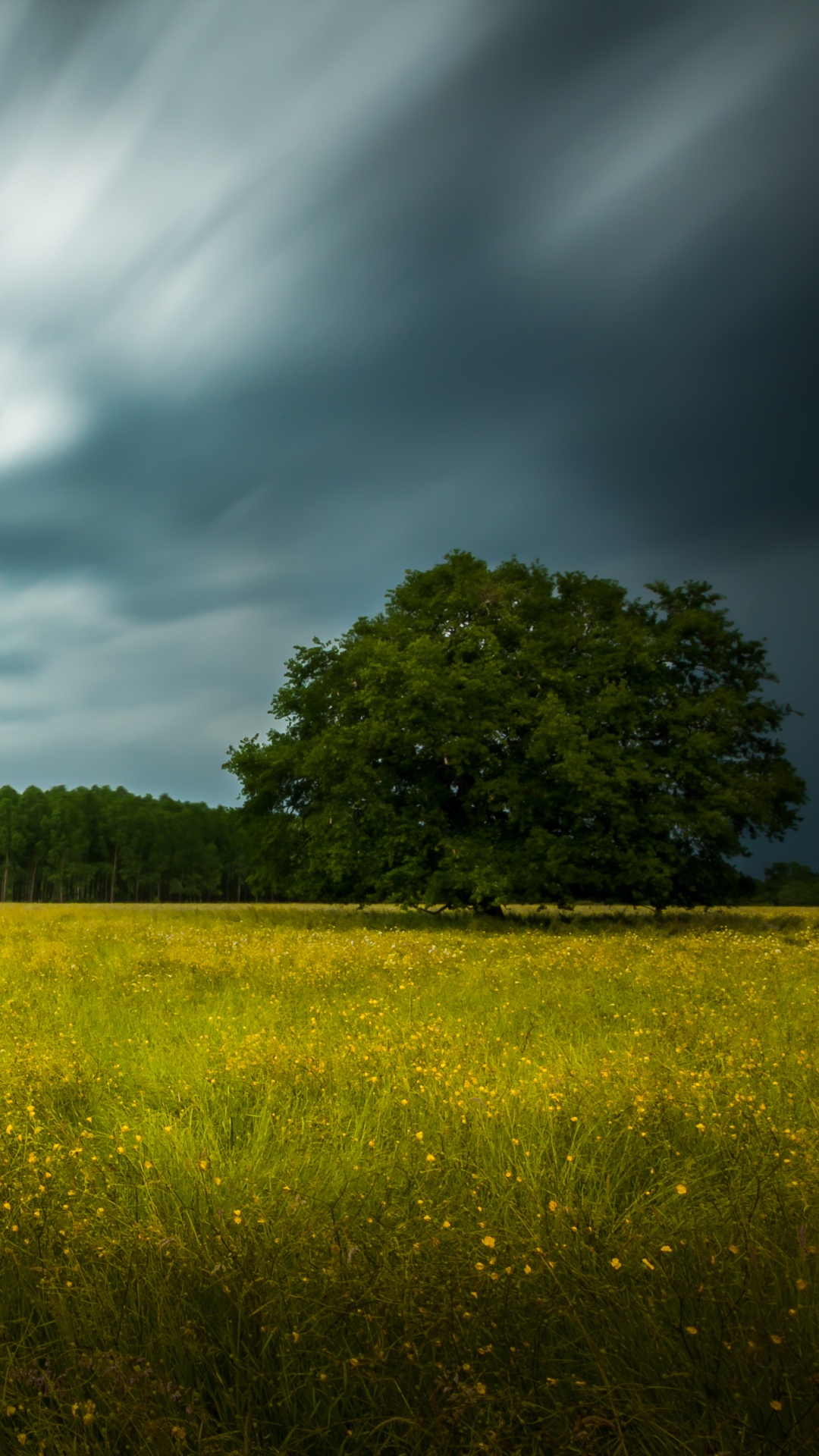 Green Grass Field Under Blue Sky During Daytime. Wallpaper in 1080x1920 Resolution