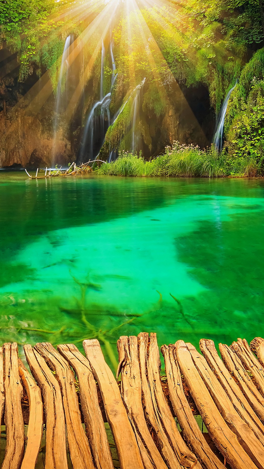 Grünes Wasser in Der Nähe Von Braunen Bäumen Tagsüber. Wallpaper in 1080x1920 Resolution