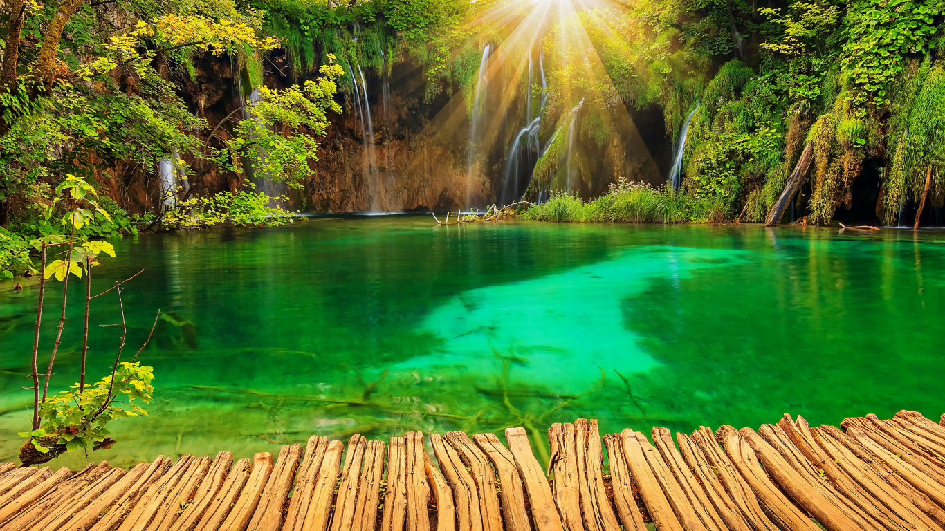 Green Water Near Brown Trees During Daytime. Wallpaper in 1366x768 Resolution