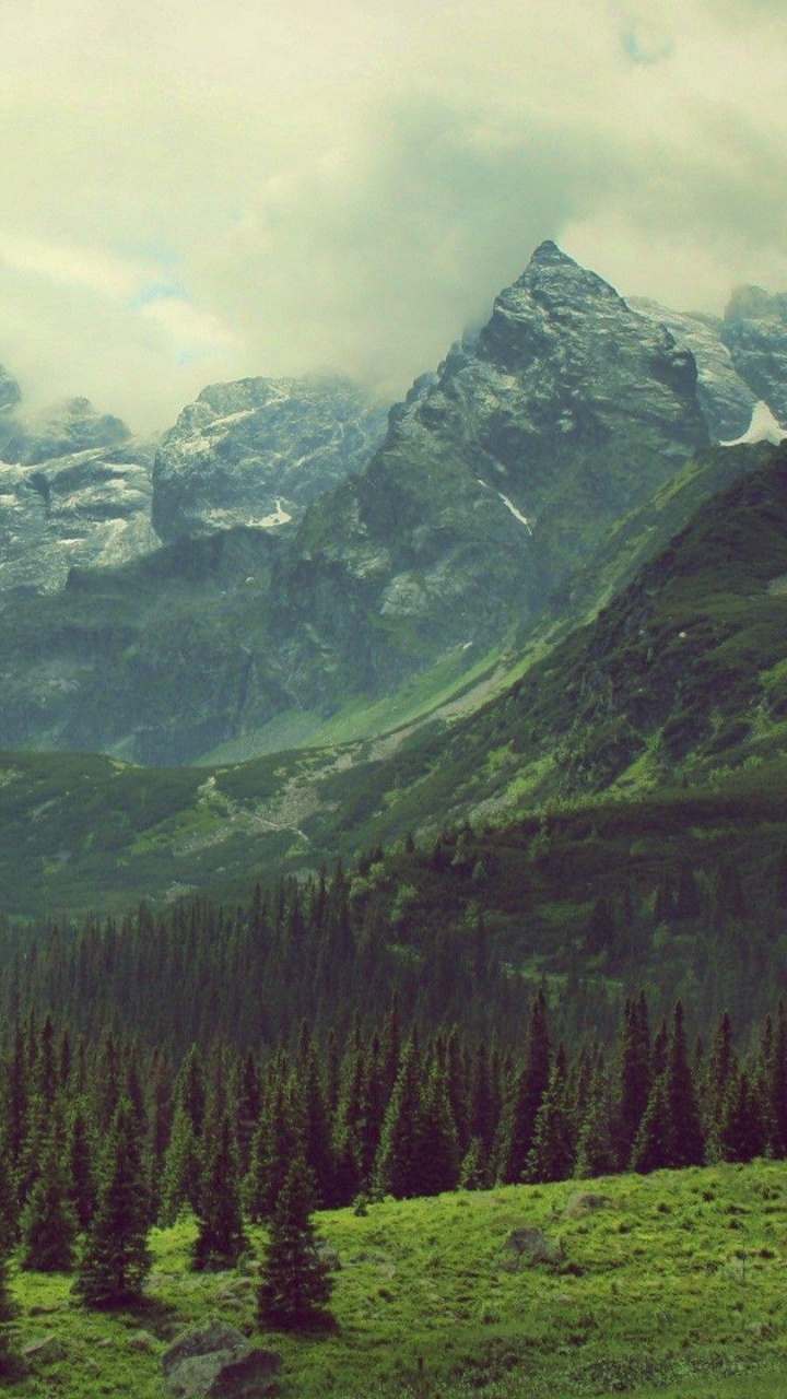 Green Trees Near Mountain Under Cloudy Sky During Daytime. Wallpaper in 720x1280 Resolution