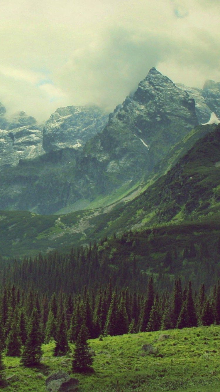 Green Trees Near Mountain Under Cloudy Sky During Daytime. Wallpaper in 750x1334 Resolution