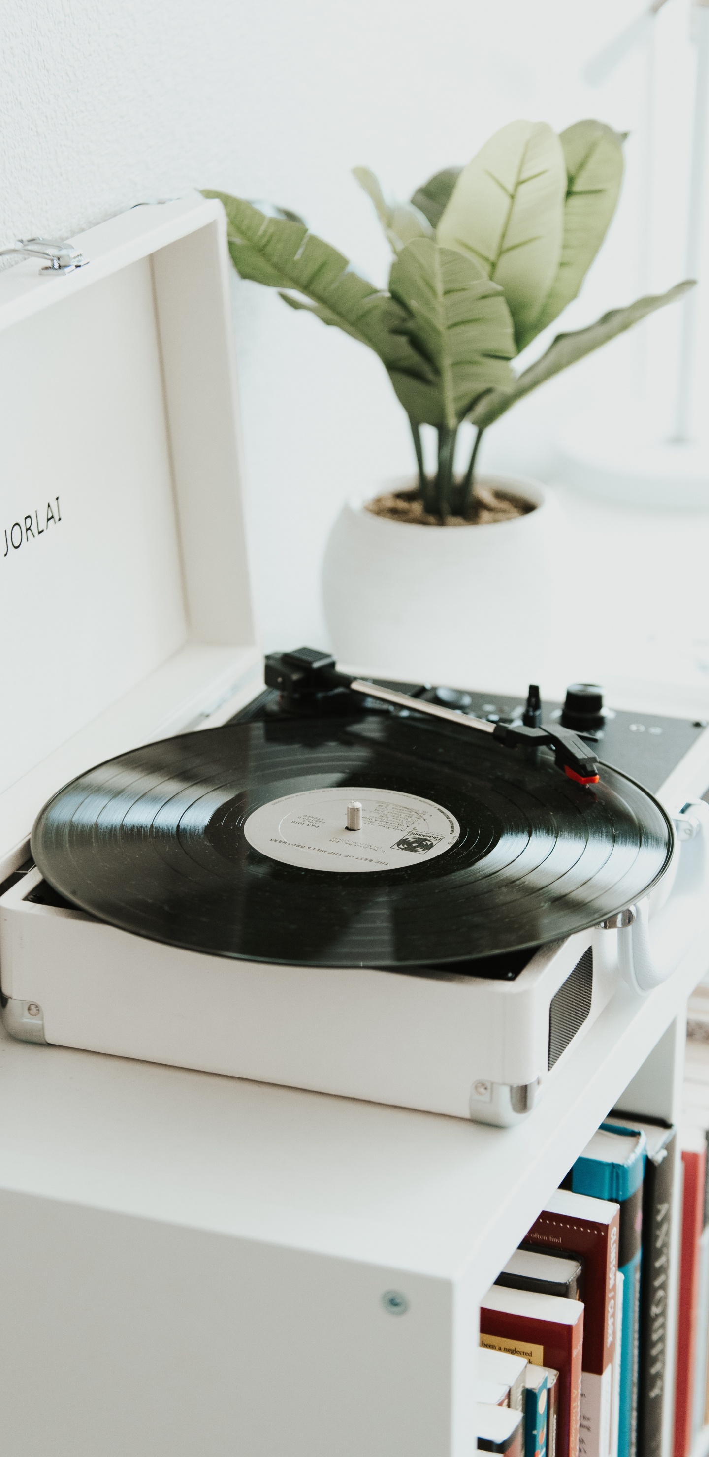 电子, 留声机, 出版物, 唱片 壁纸 1440x2960 允许