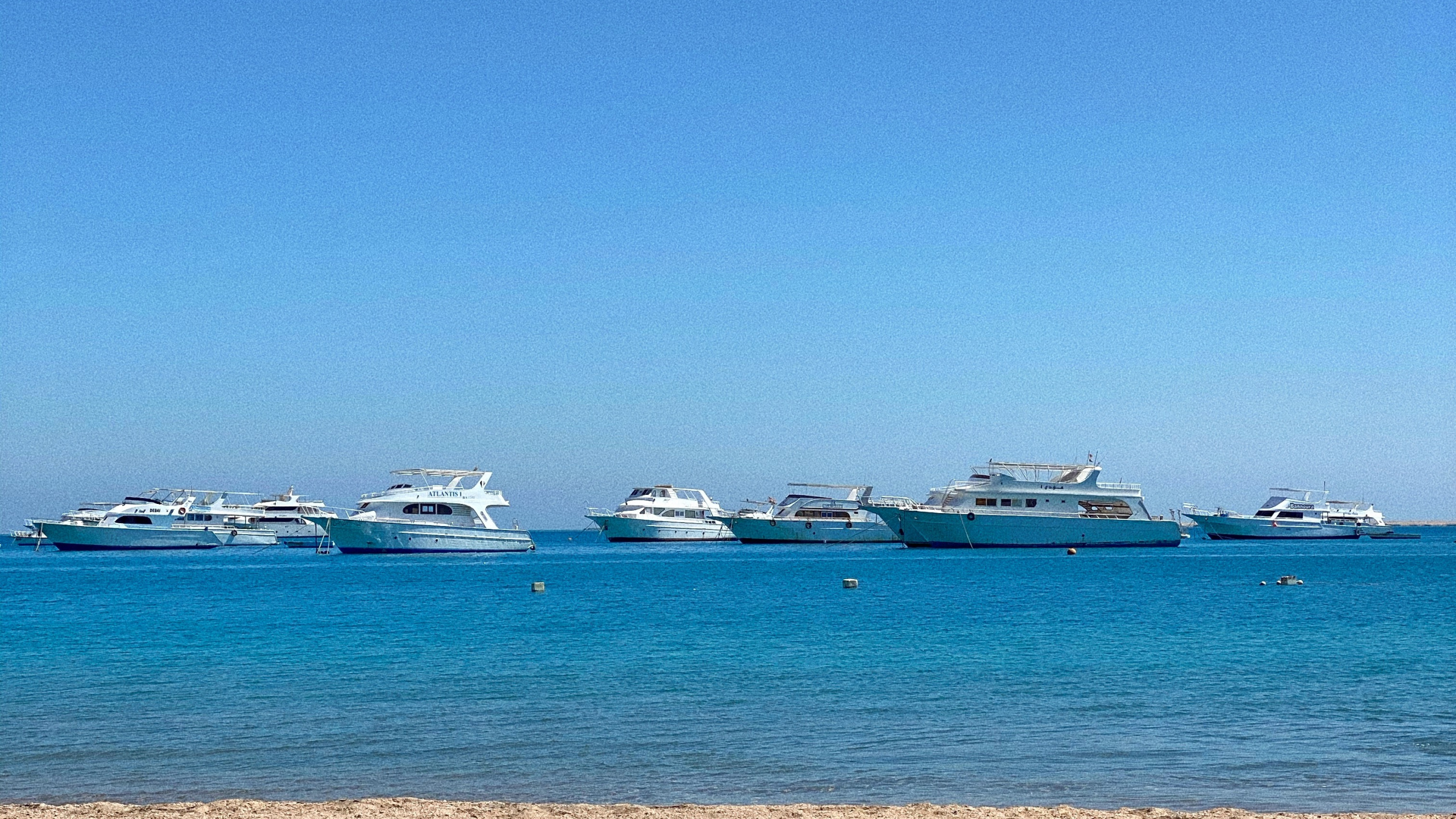 Mer, Plage de San Francisco, Plage, Eau, Bateau. Wallpaper in 2560x1440 Resolution