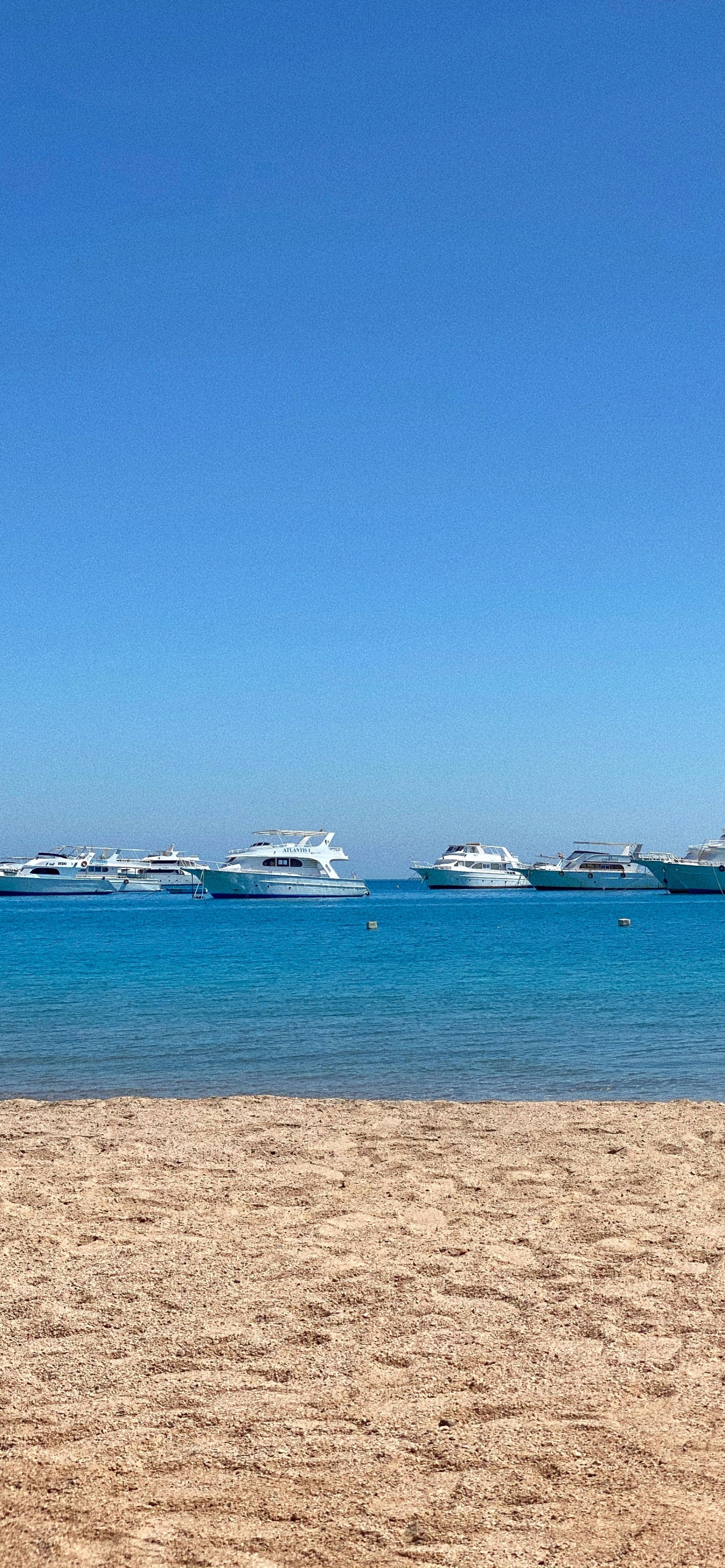 Sea, San Francisco Beach, Beach, Water, Boat. Wallpaper in 1242x2688 Resolution