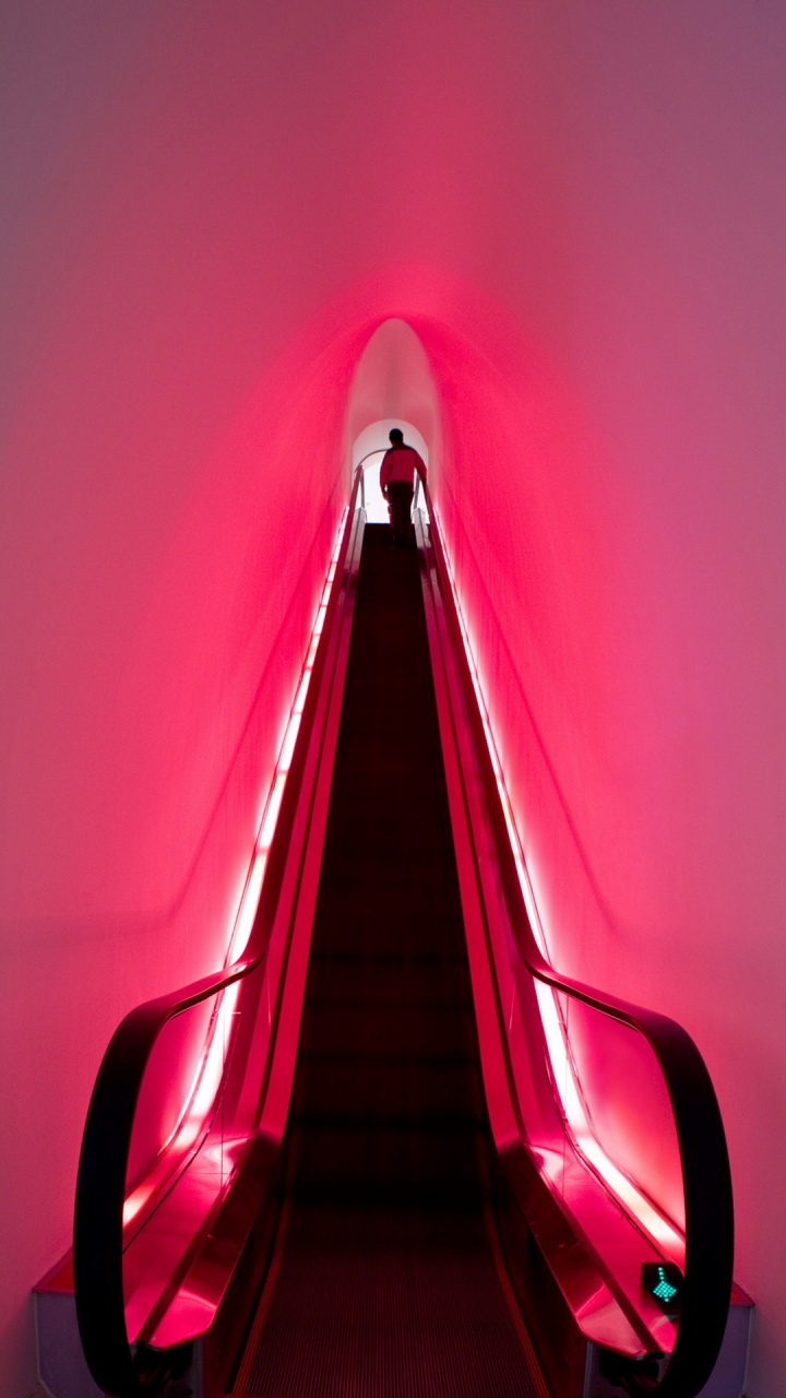 Barbie Store Lights Shanghai, Barbie, Barbie Shanghai, Slade Architecture, Mattel. Wallpaper in 720x1280 Resolution