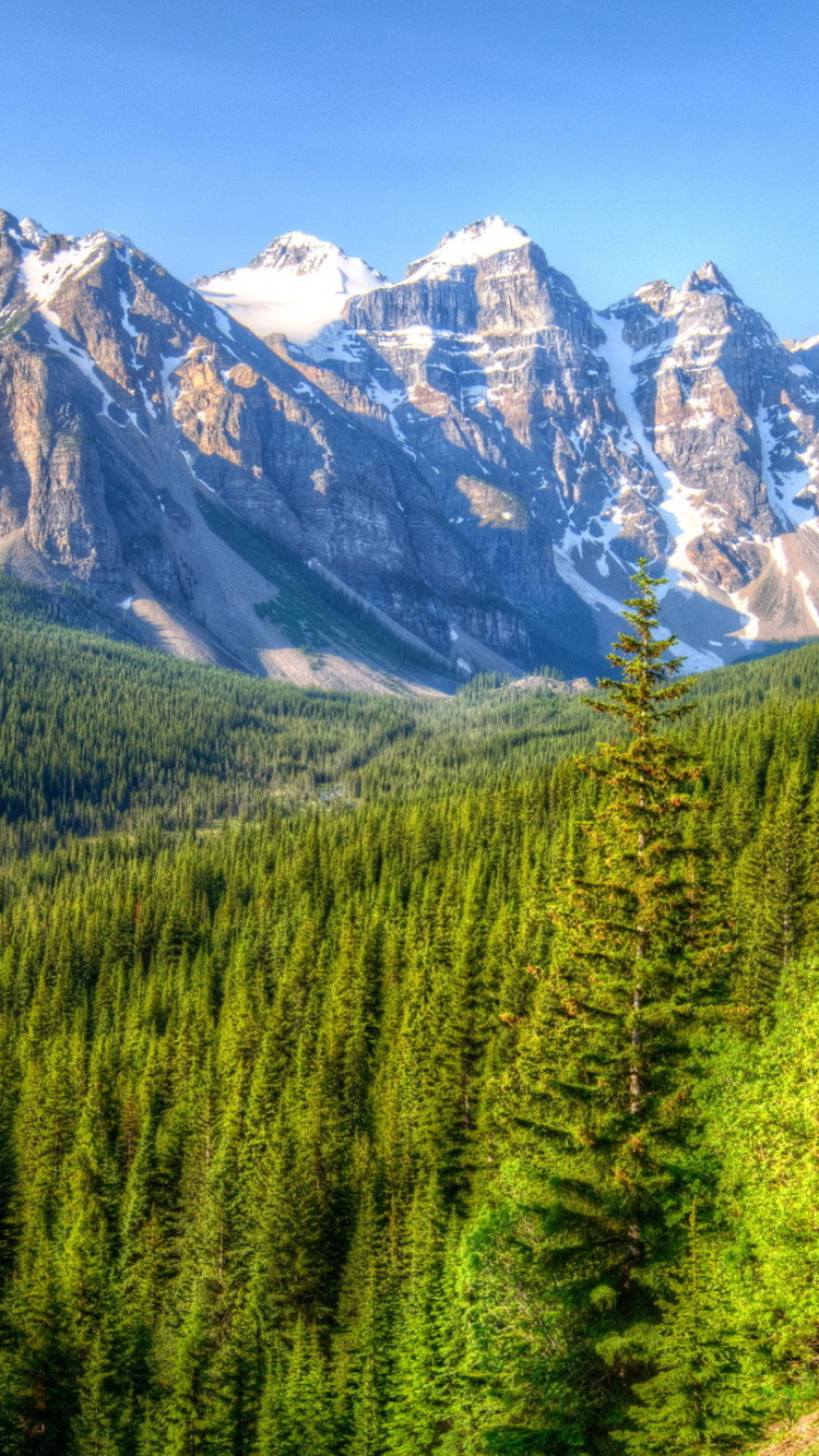 Green Pine Trees Near Snow Covered Mountain During Daytime. Wallpaper in 750x1334 Resolution