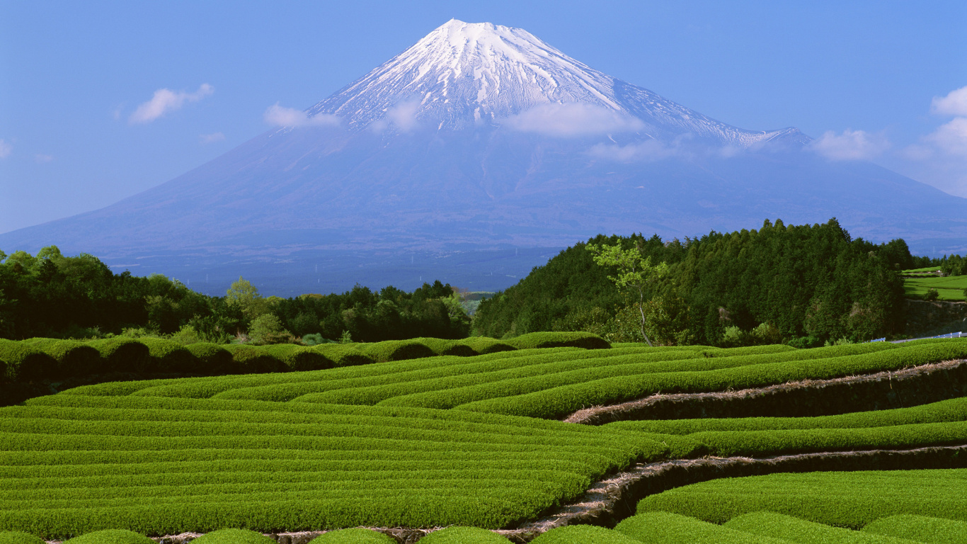 Green Grass Field Near Mountain Under Blue Sky During Daytime. Wallpaper in 1366x768 Resolution