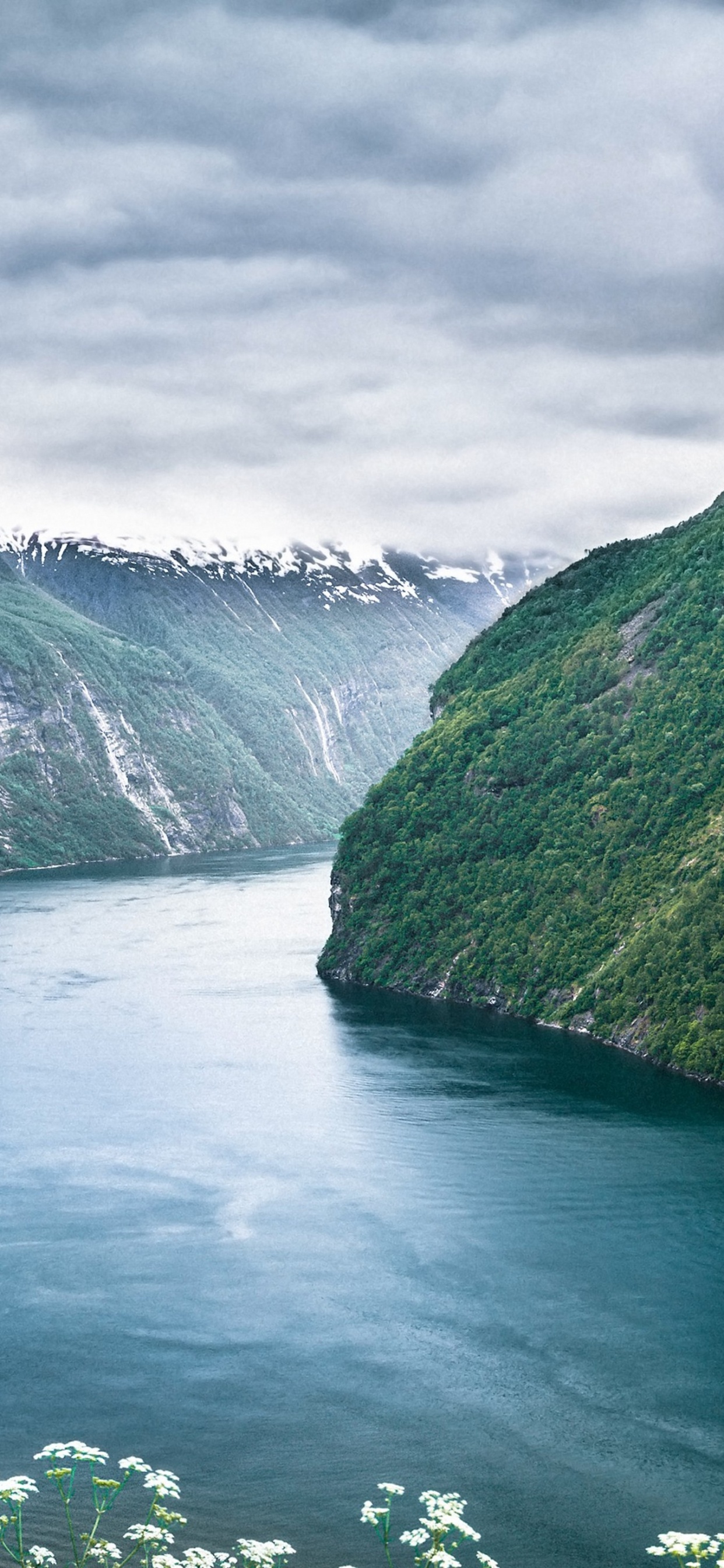 Green Lake Between Green Mountains Under Gray Clouds. Wallpaper in 1242x2688 Resolution