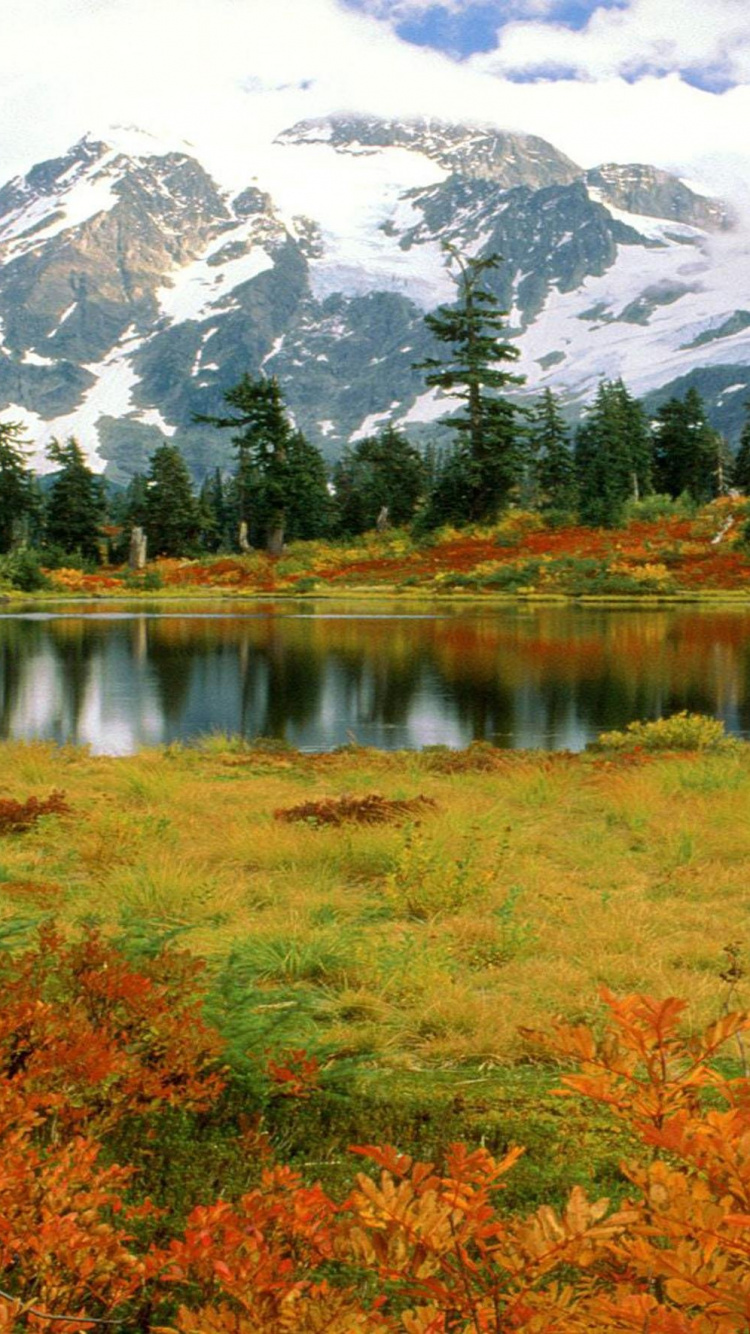 Green Trees Near Lake and Snow Covered Mountain During Daytime. Wallpaper in 750x1334 Resolution