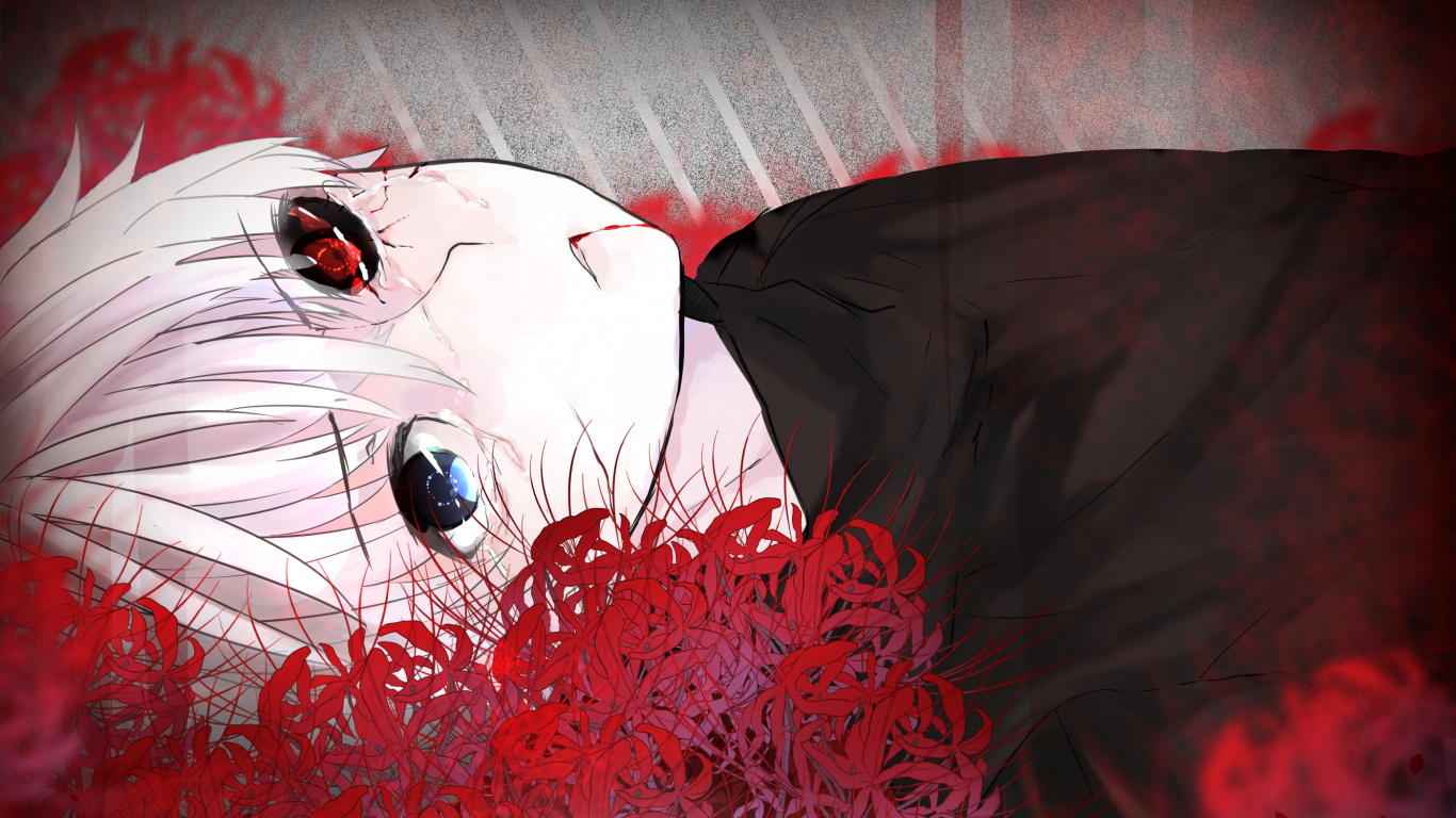 Textile Floral Rouge et Blanc. Wallpaper in 1366x768 Resolution