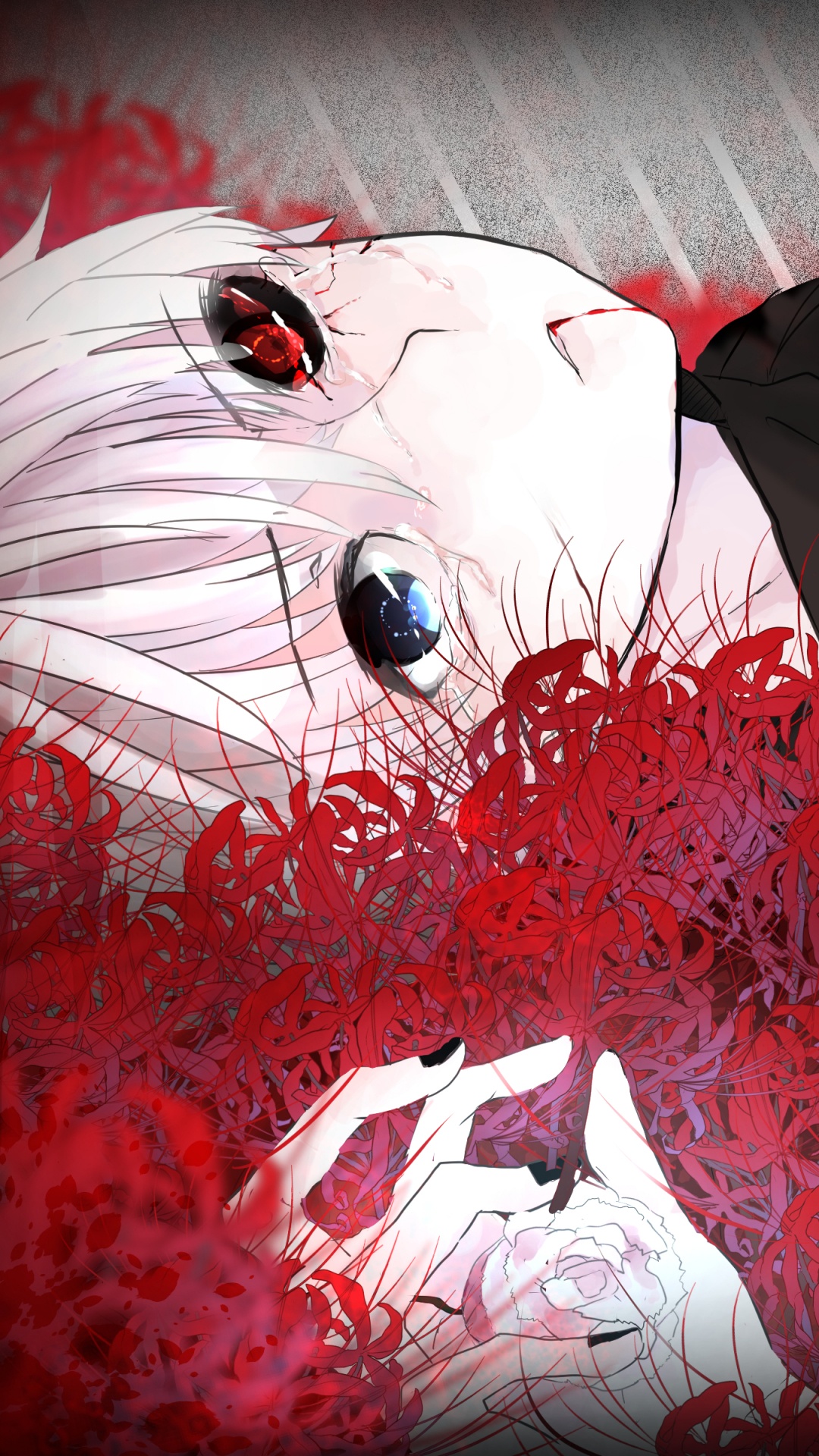 Red and White Floral Textile. Wallpaper in 1080x1920 Resolution