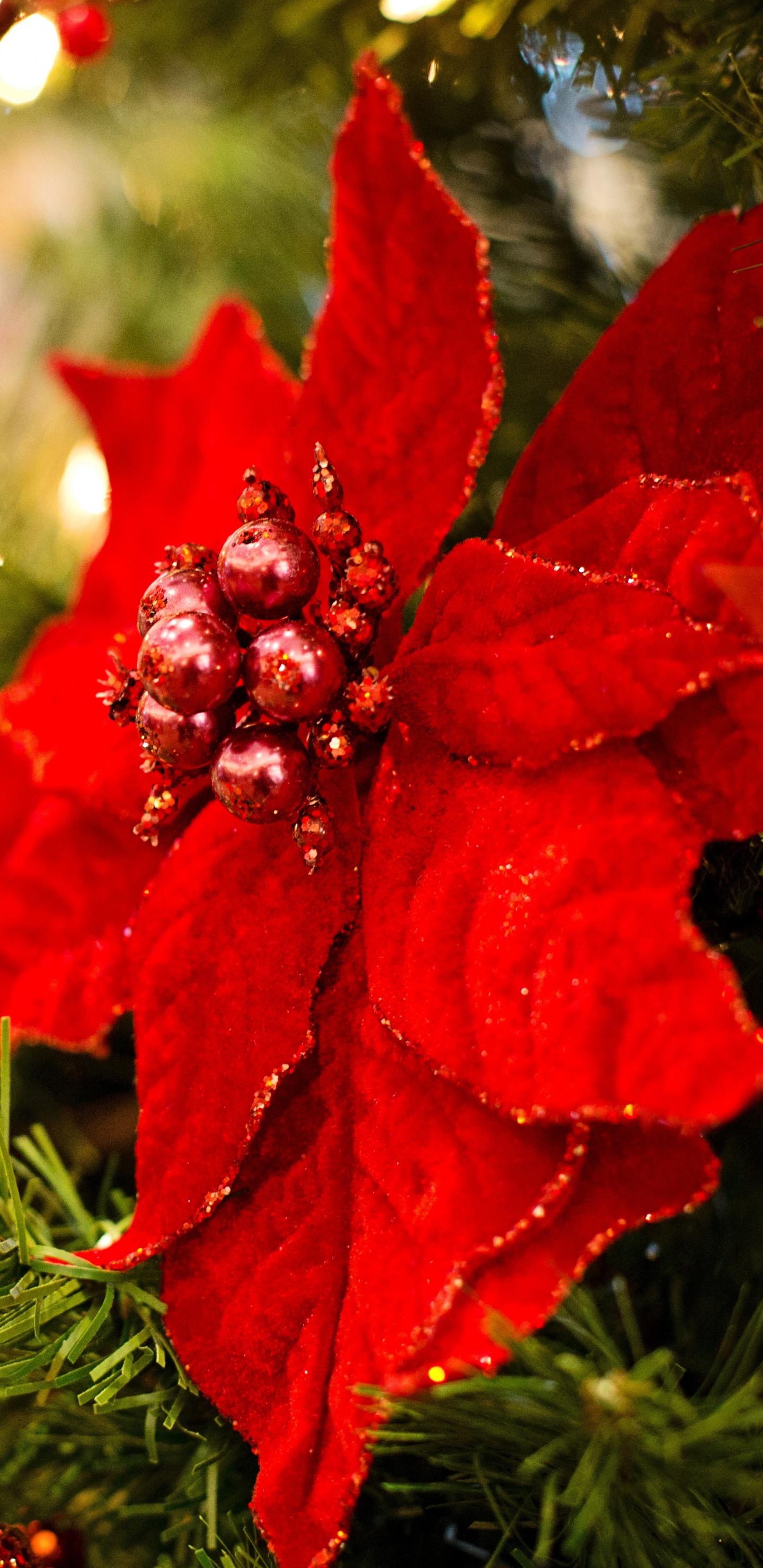 Weihnachtsstern, Weihnachten, Weihnachtsdekoration, Christmas Ornament, Baum. Wallpaper in 1440x2960 Resolution