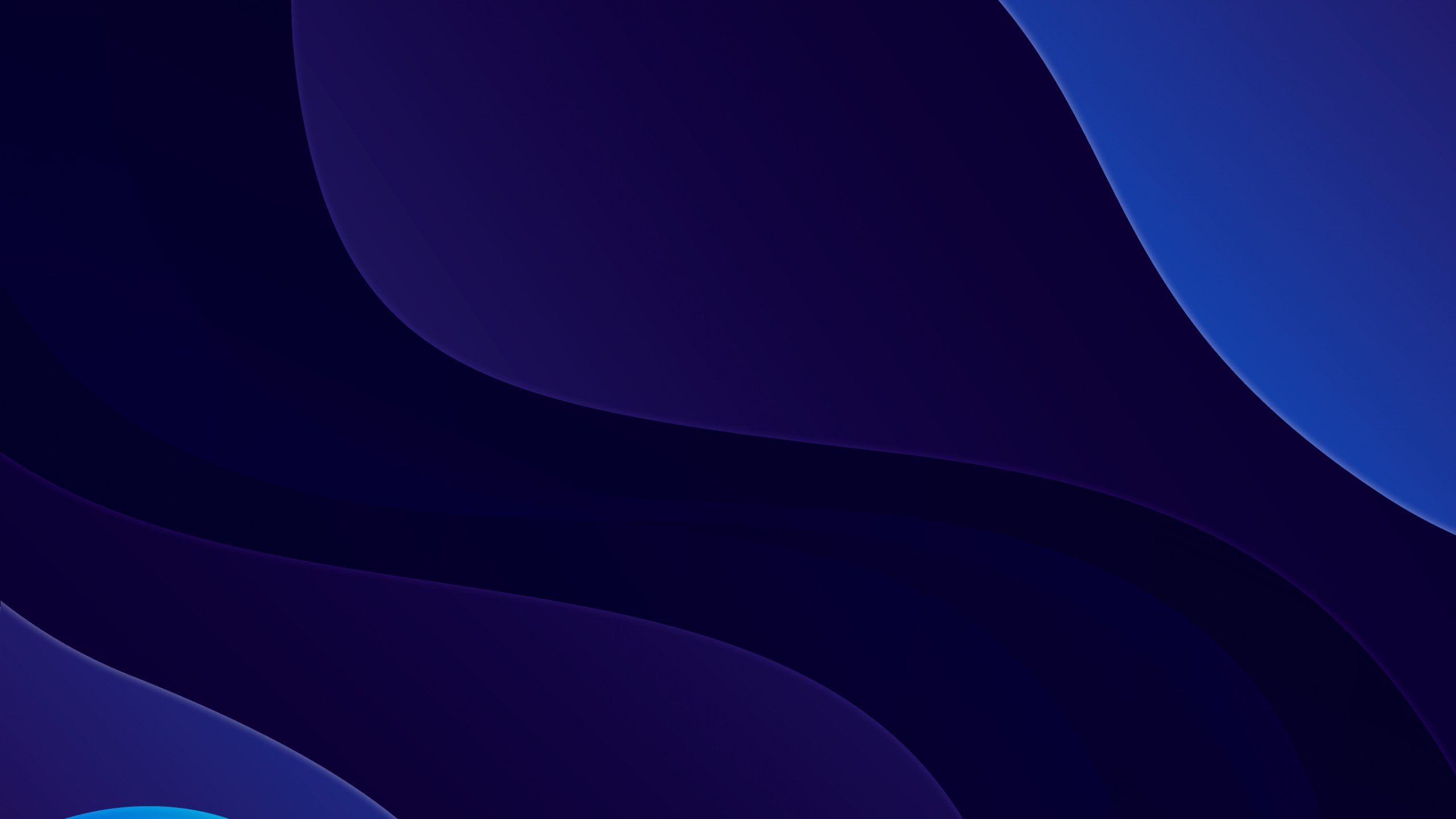 Cobalt Blue, Blue, Electric Blue, Colored, Azure. Wallpaper in 2560x1440 Resolution