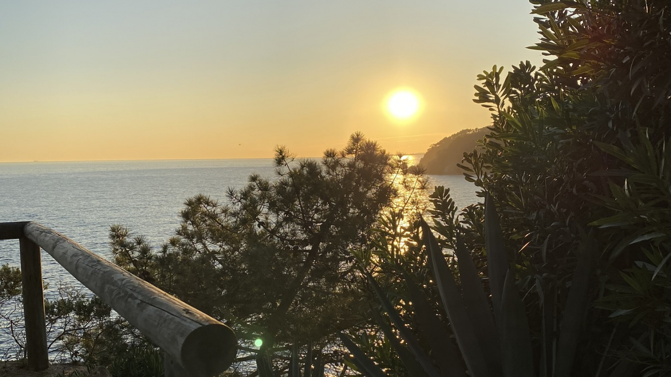 Meer, Palme, Wasser, Vegetation, Sonne. Wallpaper in 1366x768 Resolution