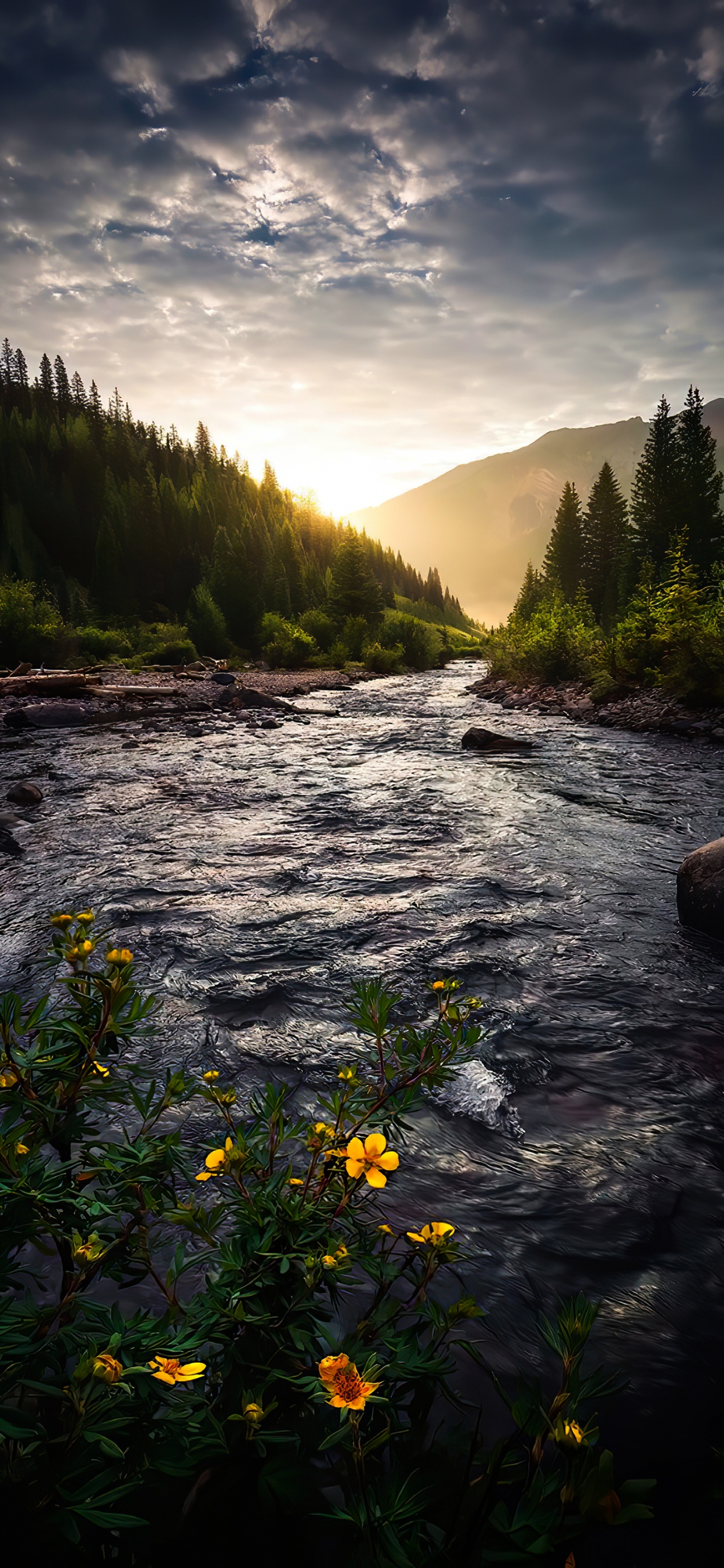Natur, Cloud, Wasser, Wasserressourcen, Ökoregion. Wallpaper in 1242x2688 Resolution