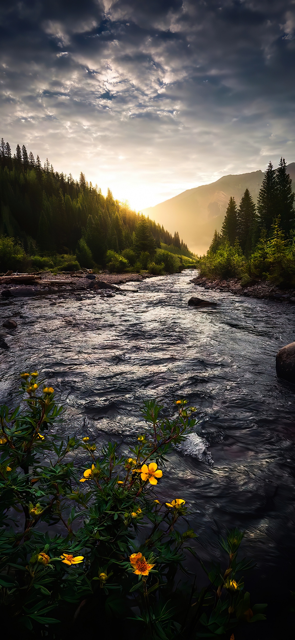 Nature, Cloud, Water, Plant, Water Resources. Wallpaper in 1125x2436 Resolution
