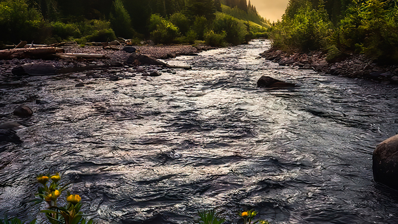 Nature, Cloud, Water, Plant, Water Resources. Wallpaper in 1280x720 Resolution