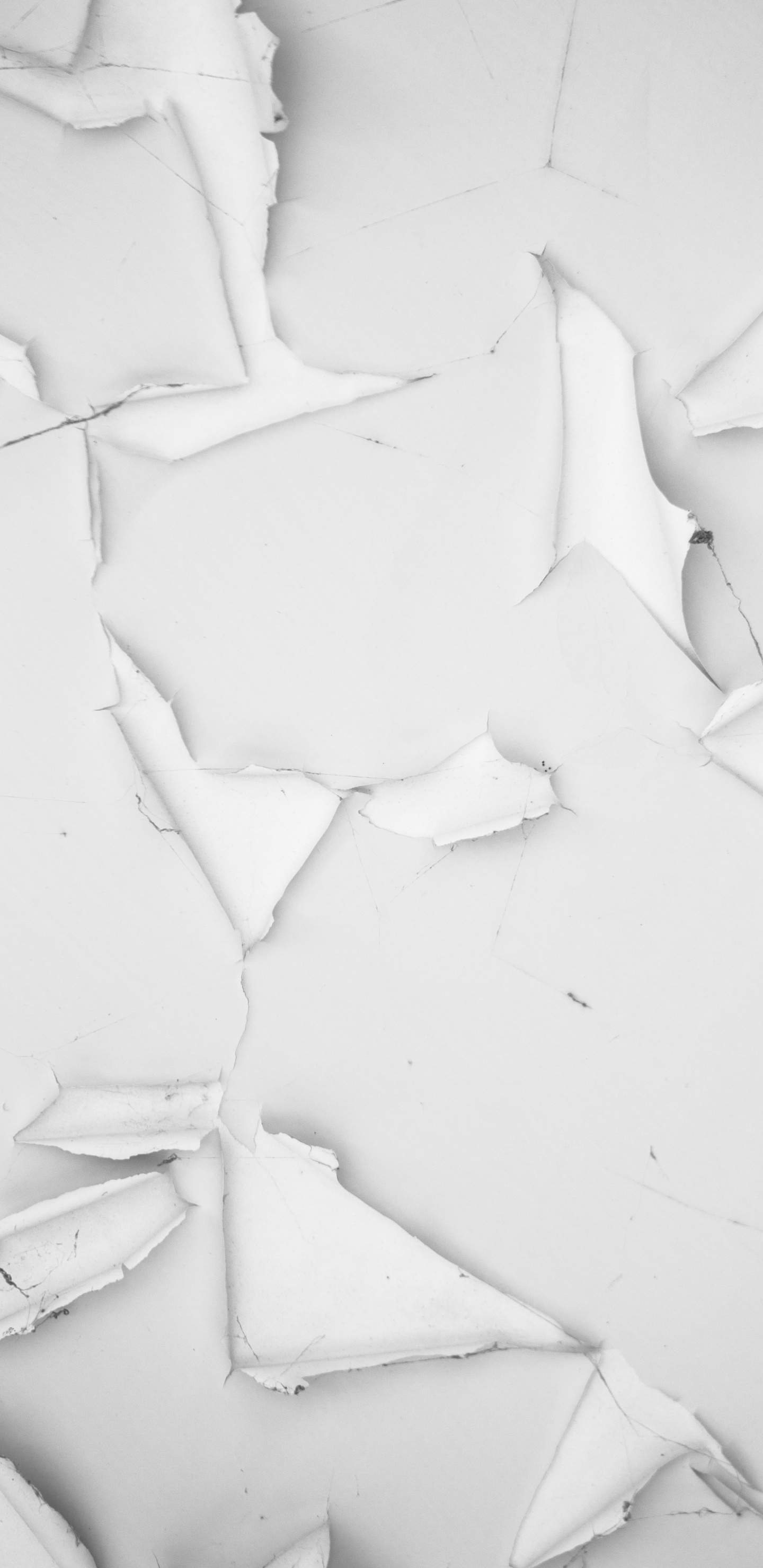 Arena Blanca Con Pétalos Blancos. Wallpaper in 1440x2960 Resolution