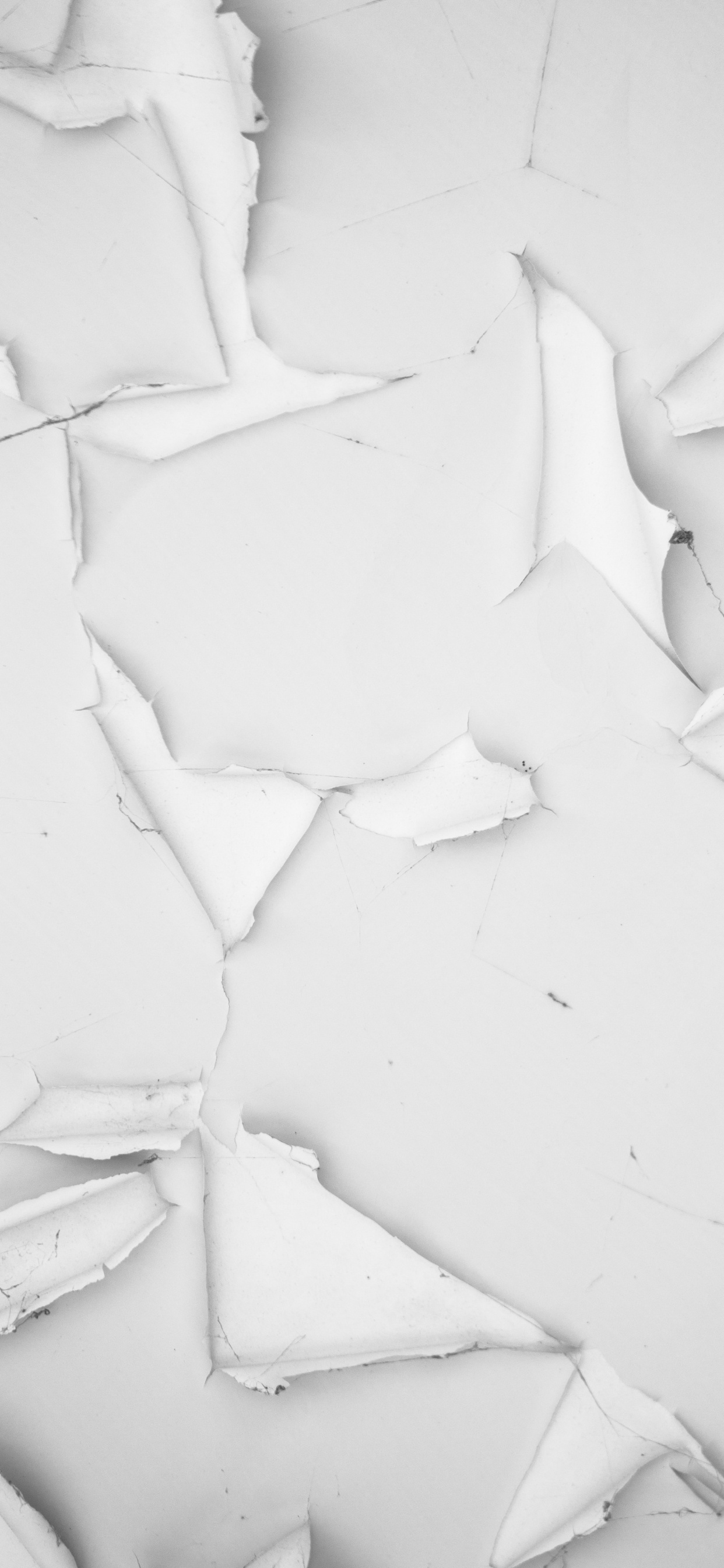 灰度, 白色, 黑色和白色的, 建筑, 绘画 壁纸 1242x2688 允许