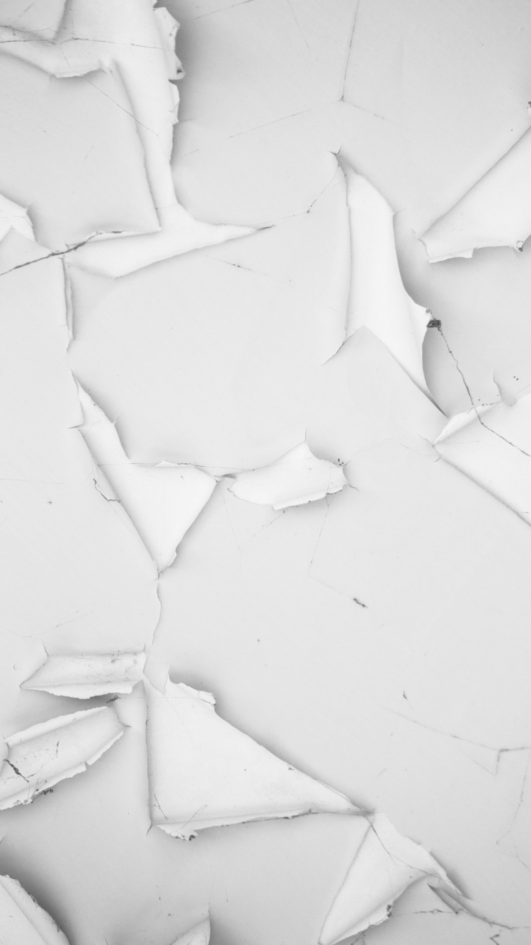 White Sand With White Petals. Wallpaper in 750x1334 Resolution