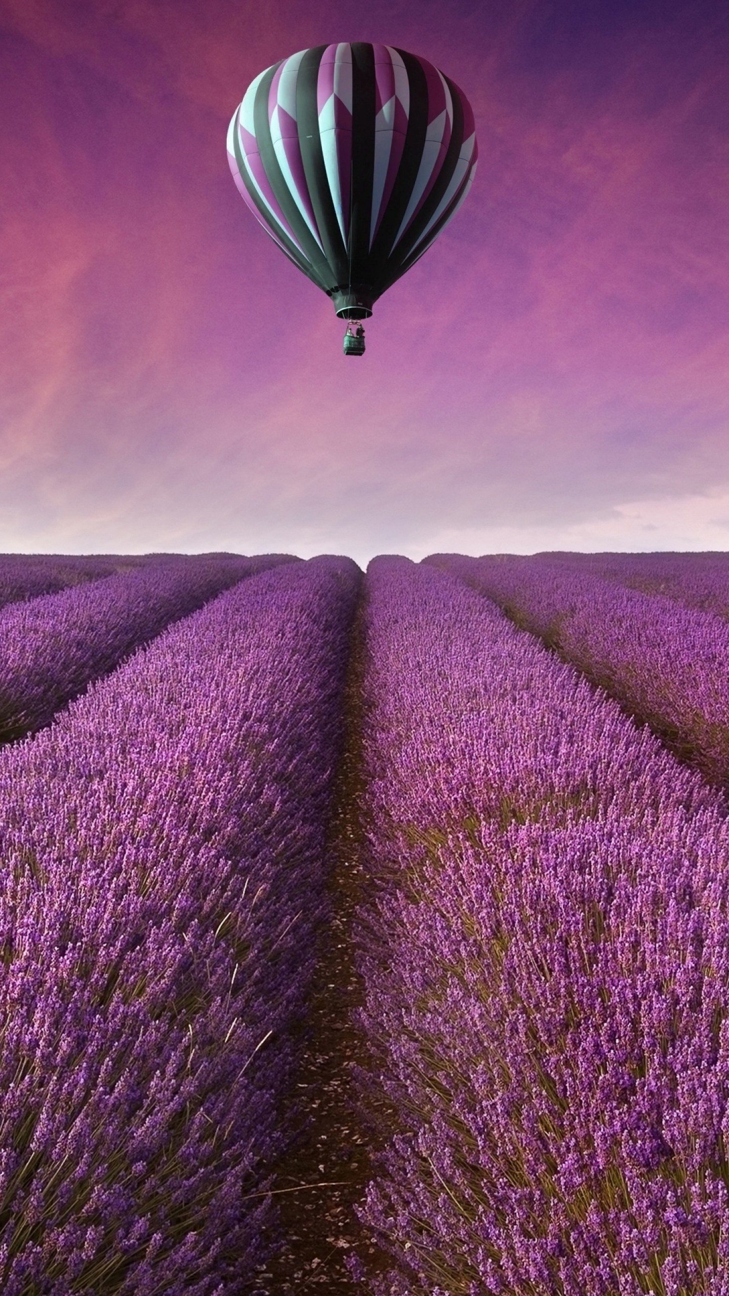 Heißluftballon, Ballon, Lavendel, Purpur, Veilchen. Wallpaper in 1440x2560 Resolution