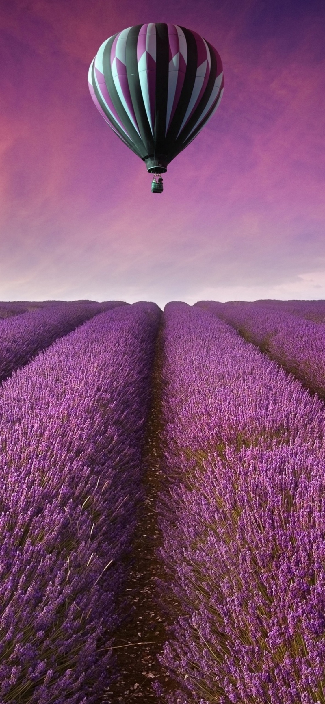 Hot Air Balloon, Balloon, Lavender, Purple, Violet. Wallpaper in 1125x2436 Resolution