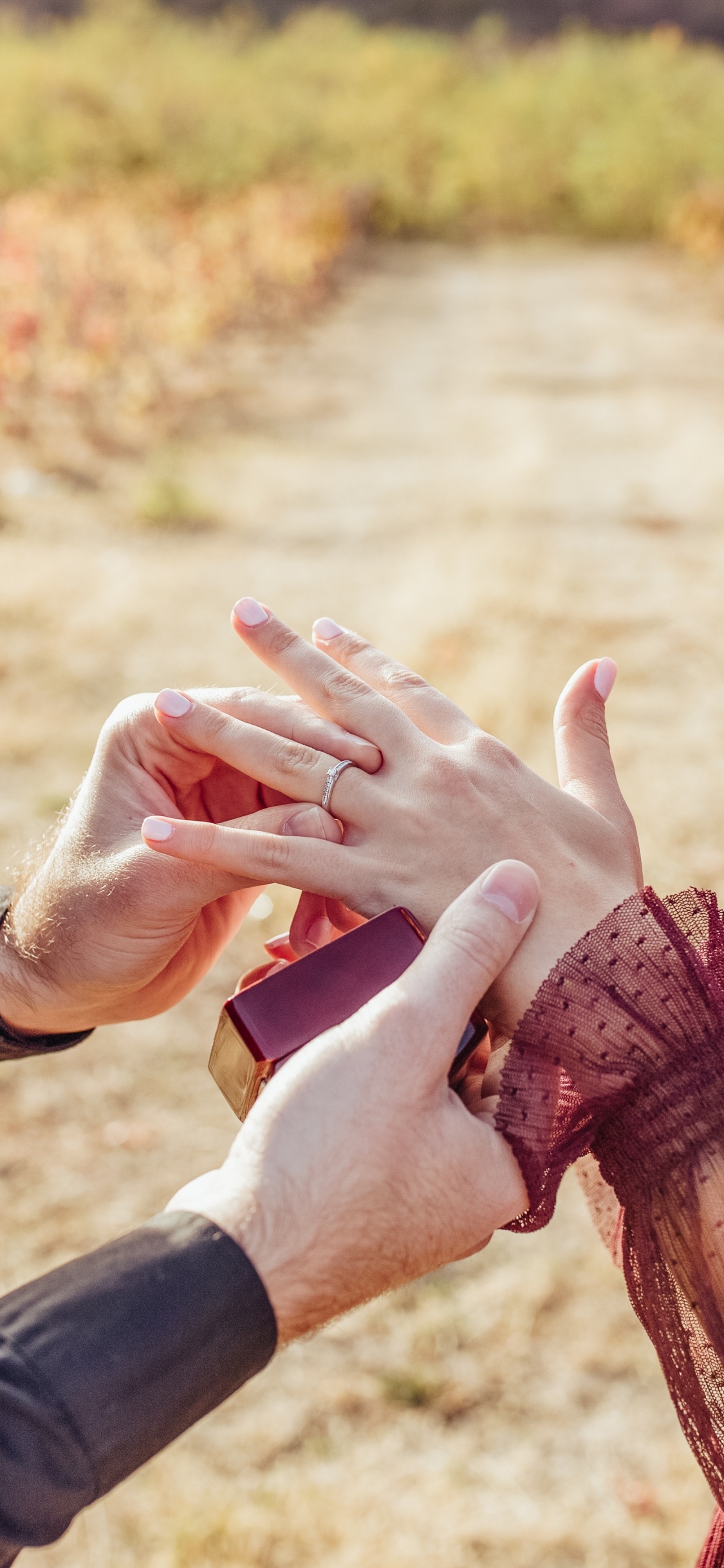 Menschen in Der Natur, Hand, Geste, Die Hände Halten, Finger. Wallpaper in 1125x2436 Resolution