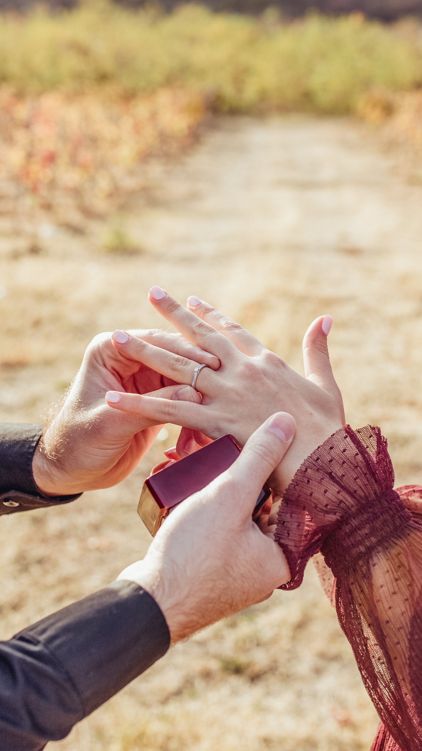 Menschen in Der Natur, Hand, Geste, Die Hände Halten, Finger. Wallpaper in 1440x2560 Resolution