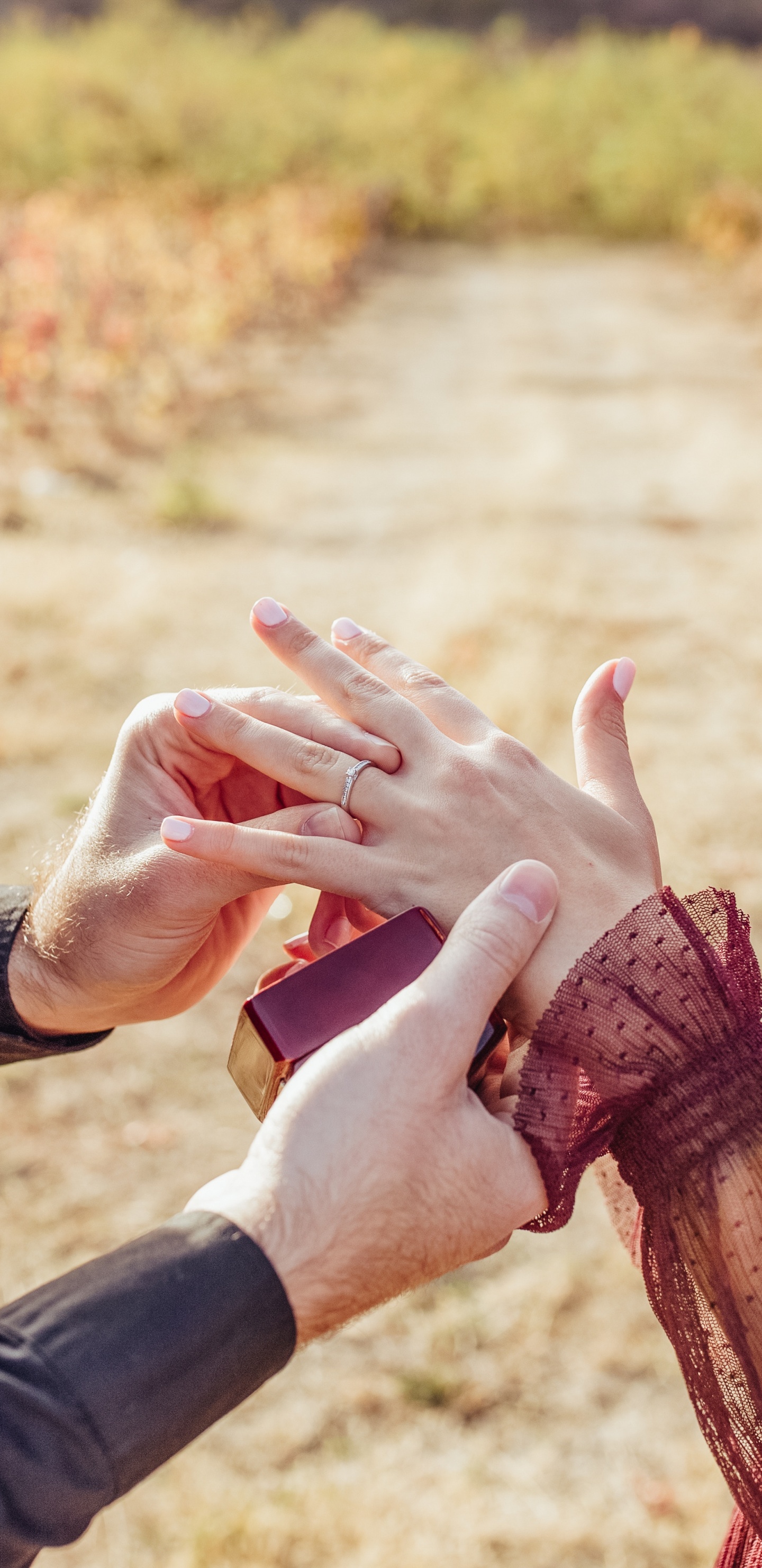 Menschen in Der Natur, Hand, Geste, Die Hände Halten, Finger. Wallpaper in 1440x2960 Resolution