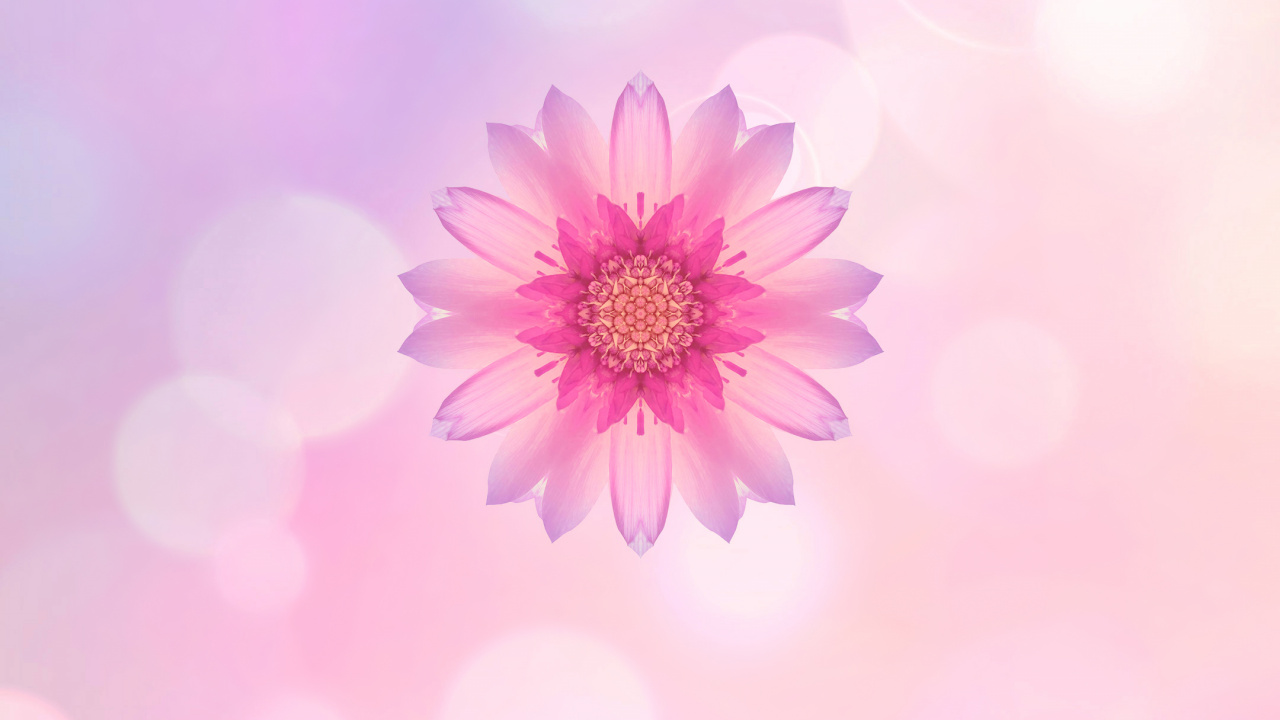 Huawei, Huawei Honor 10, Ehre 10, Ehre 9n, Smartphone. Wallpaper in 1280x720 Resolution